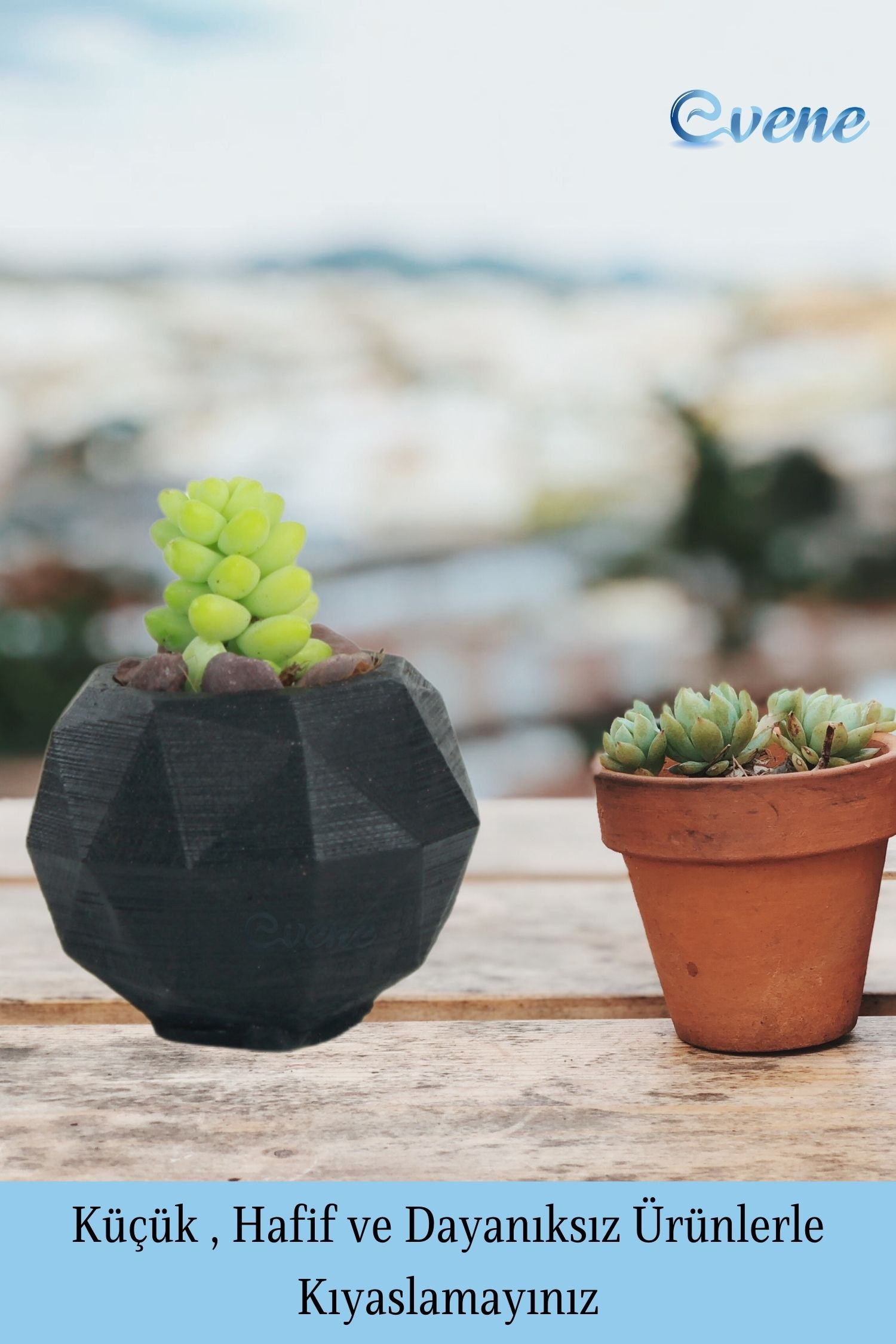 Mini Çiçek Saksısı Küçük Sukulent Siyah Kaktüs Saksı Poly Silindir Model