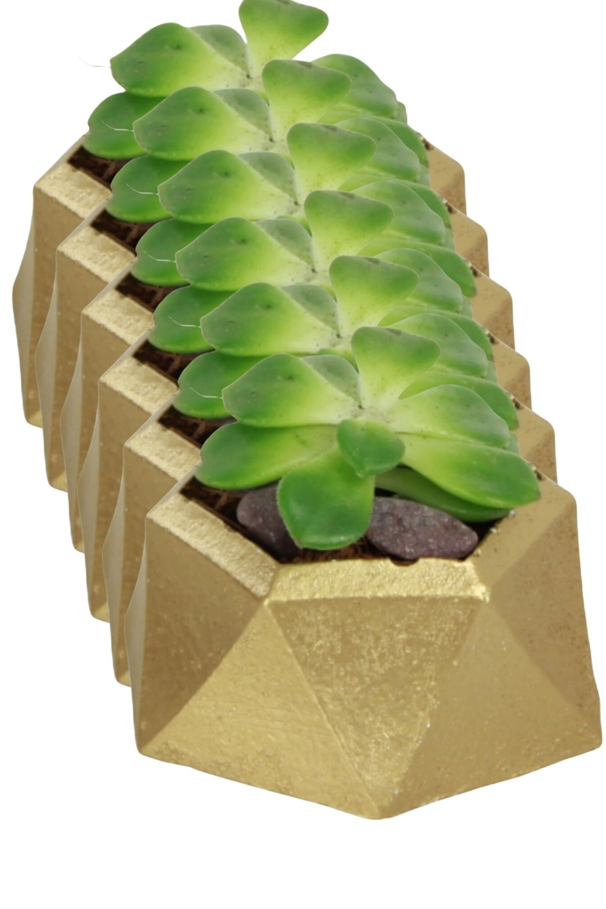 Altın thumbnail image