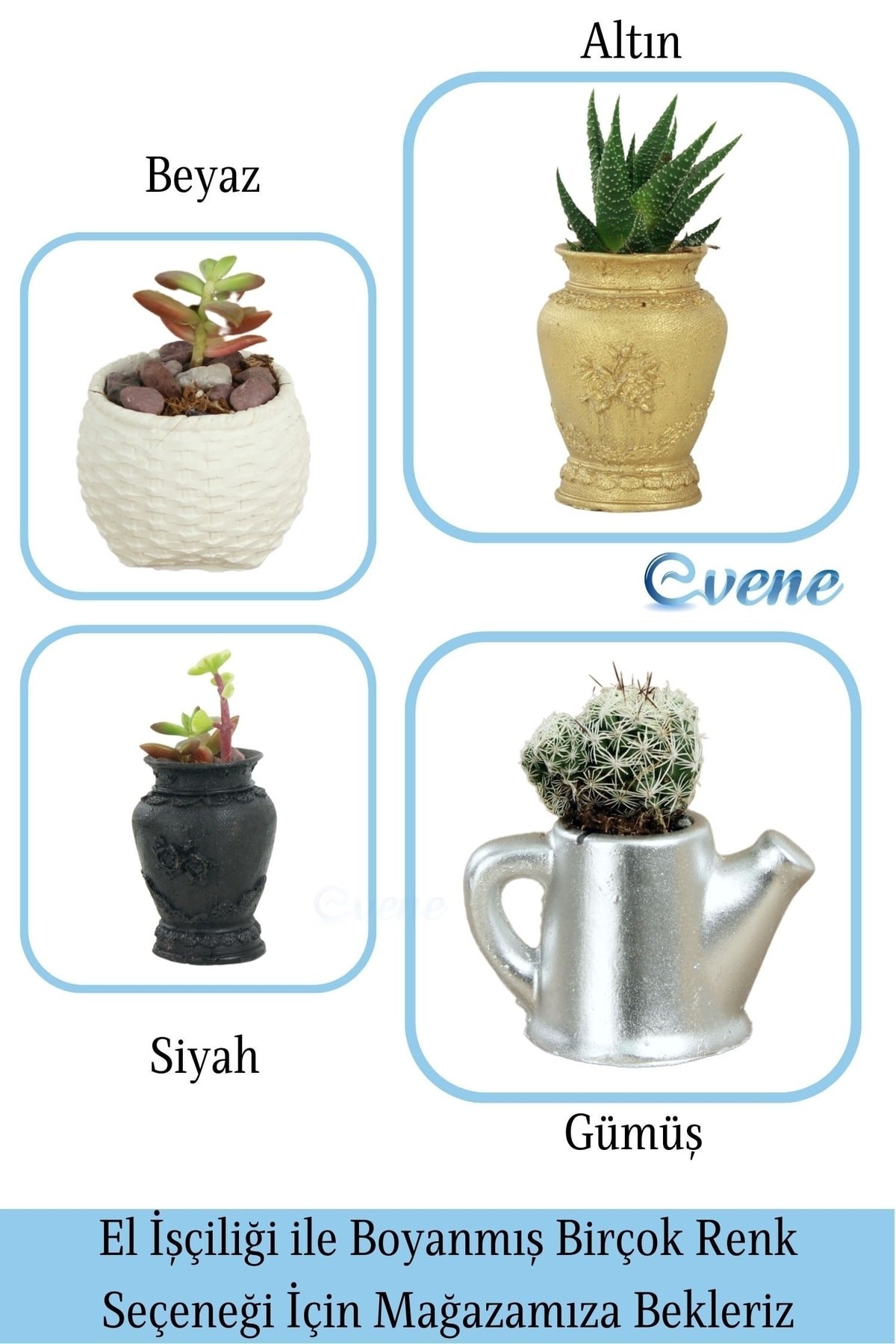 Mini Çiçek Saksı Küçük Sukulent Siyah Kaktüs Saksısı 3'lü Set Mini Desenli Vazo Saksı Model