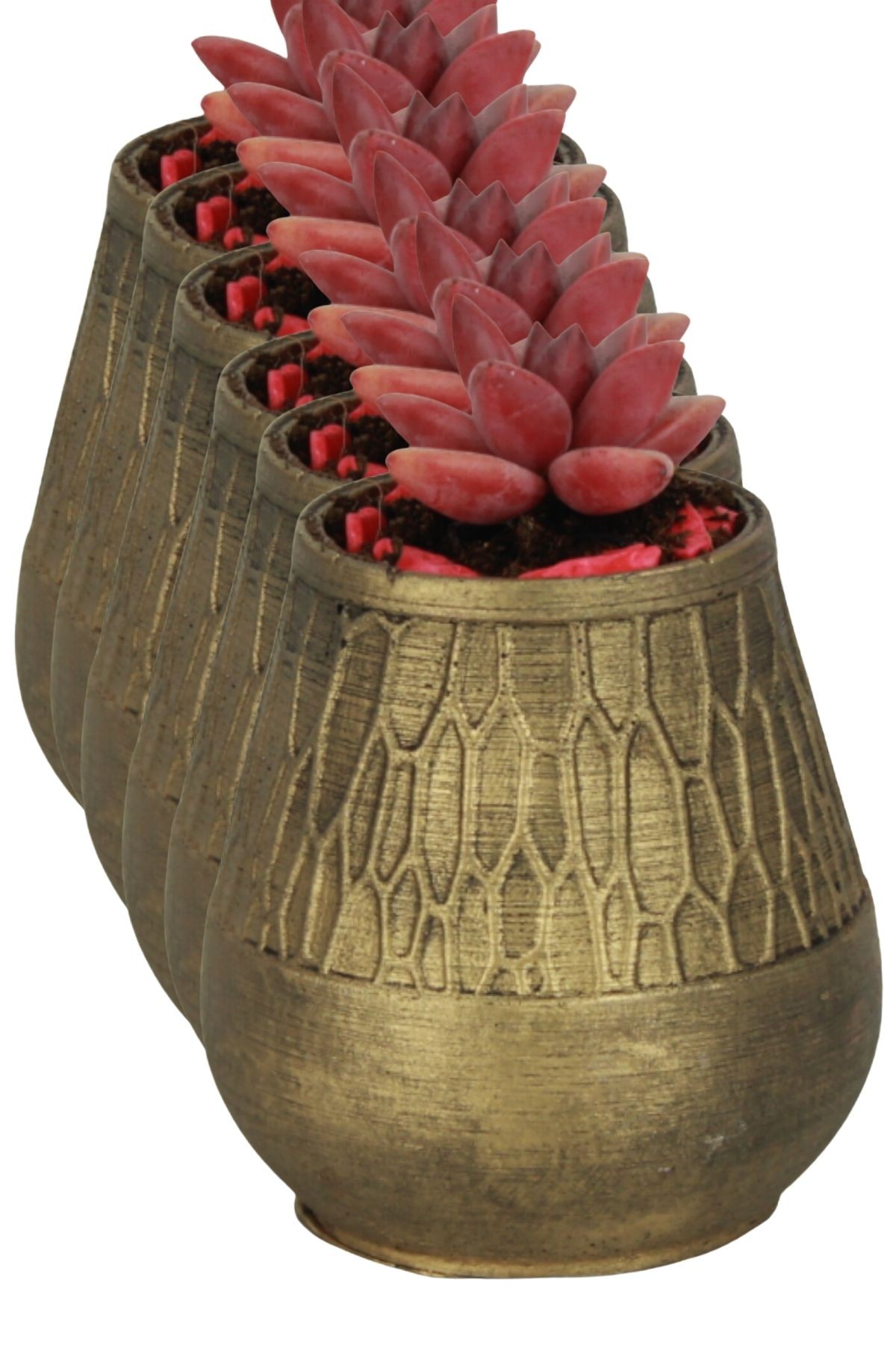 Siyah - Altın thumbnail image