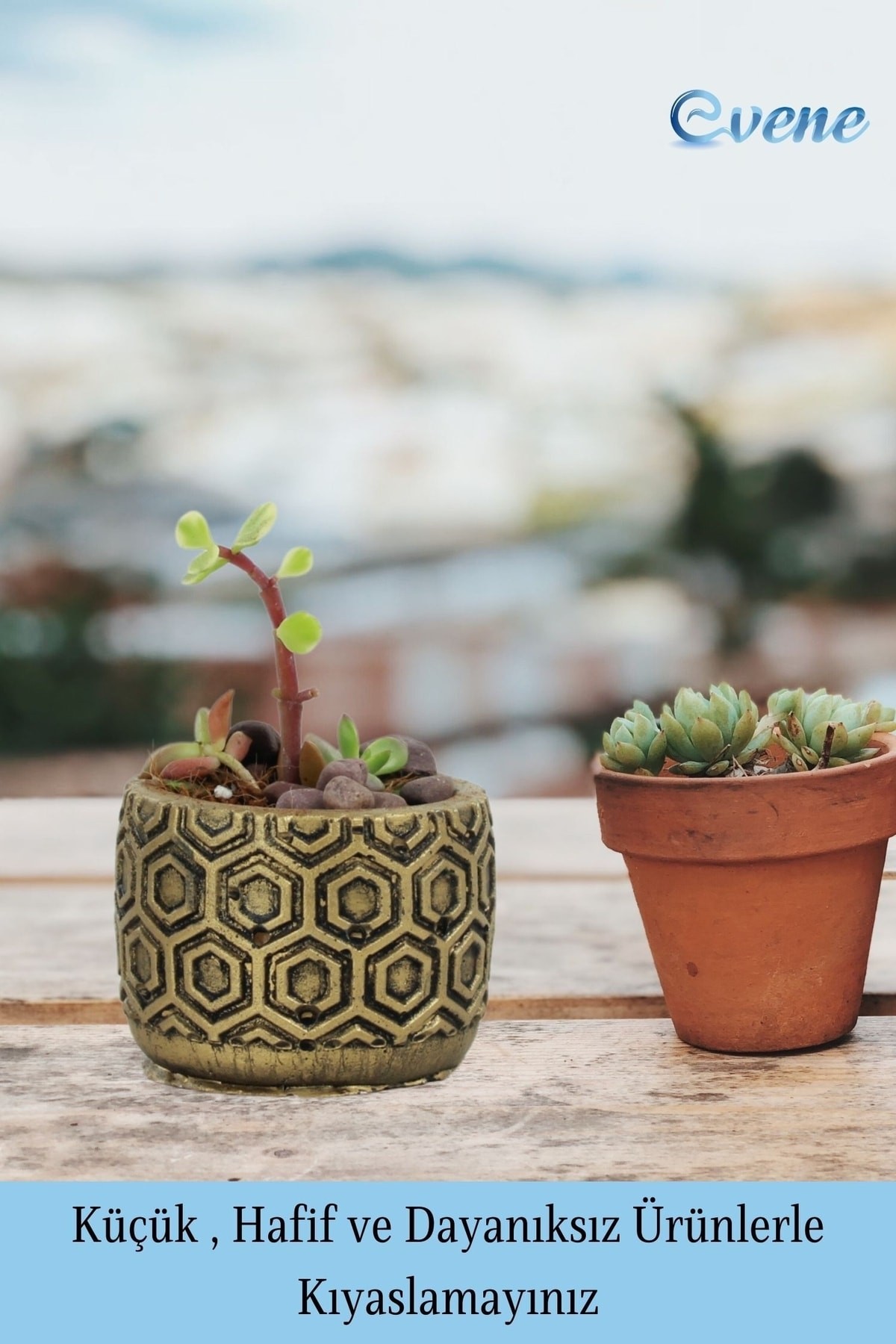 Mini Çiçek Saksı Küçük Sukulent Gümüş Kaktüs Saksısı Altıgen Desenli Model