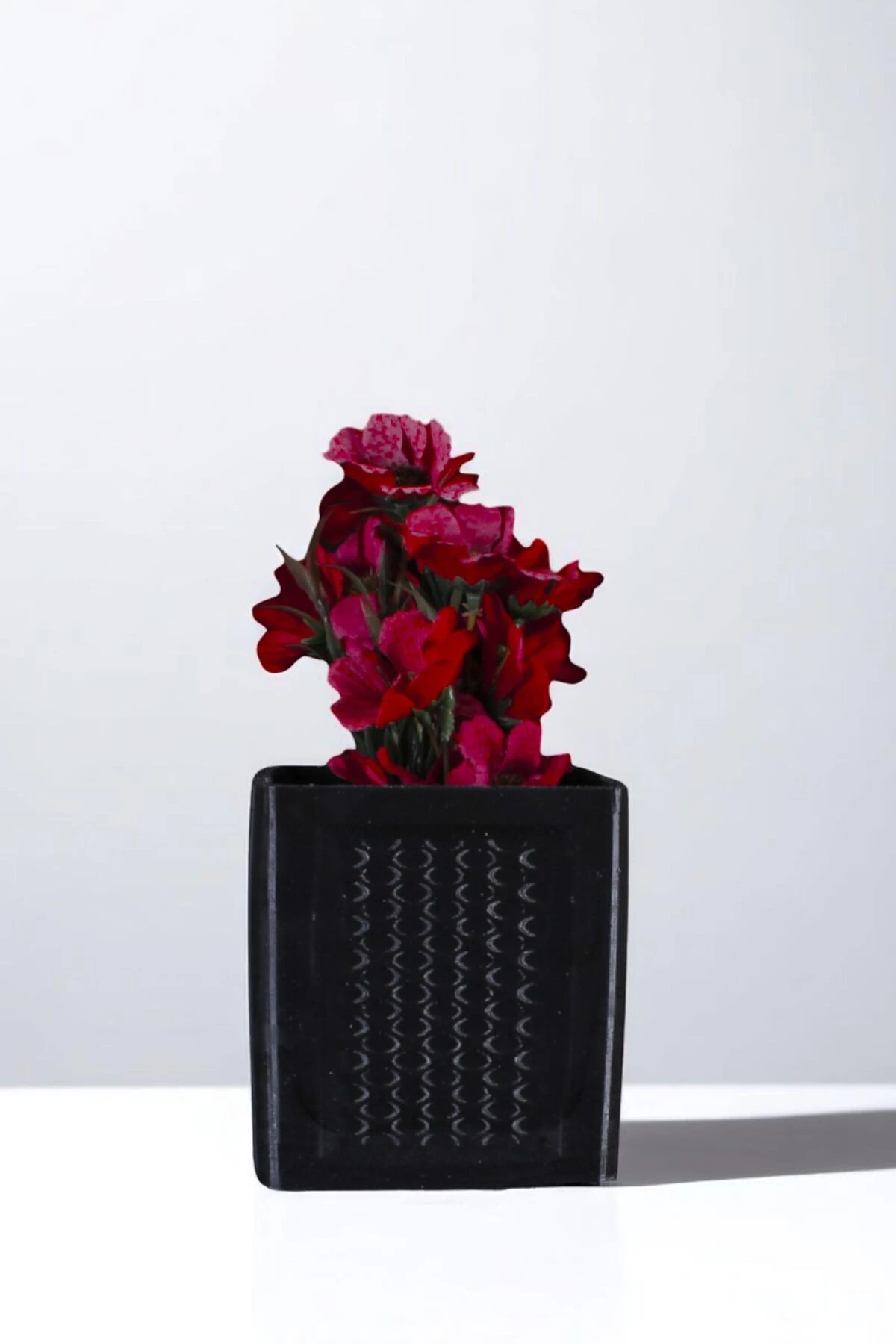 SİYAH thumbnail image