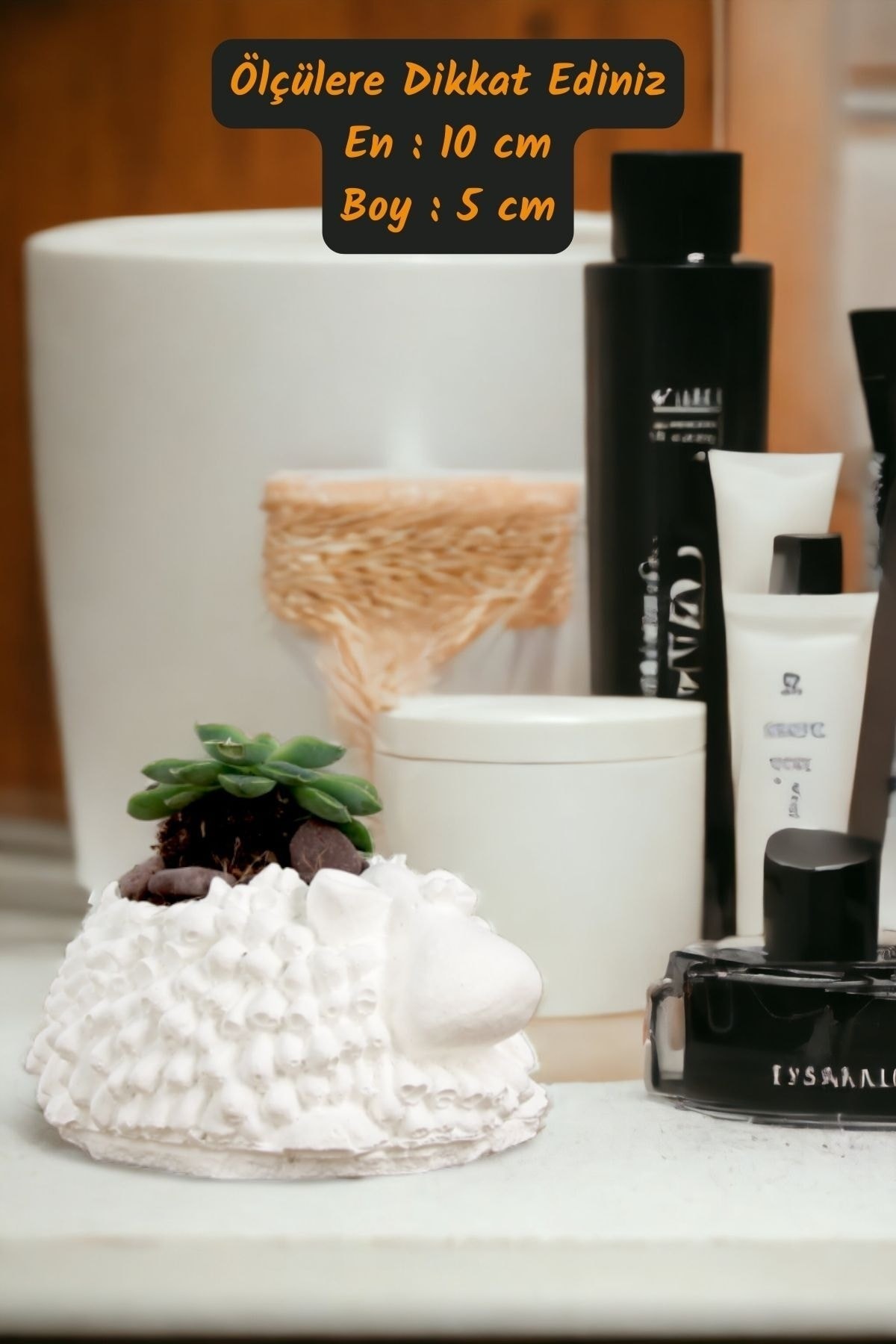 Premium Saksı Minyatür Dekoratif Kaktüs Sukulent Saksısı Model 6