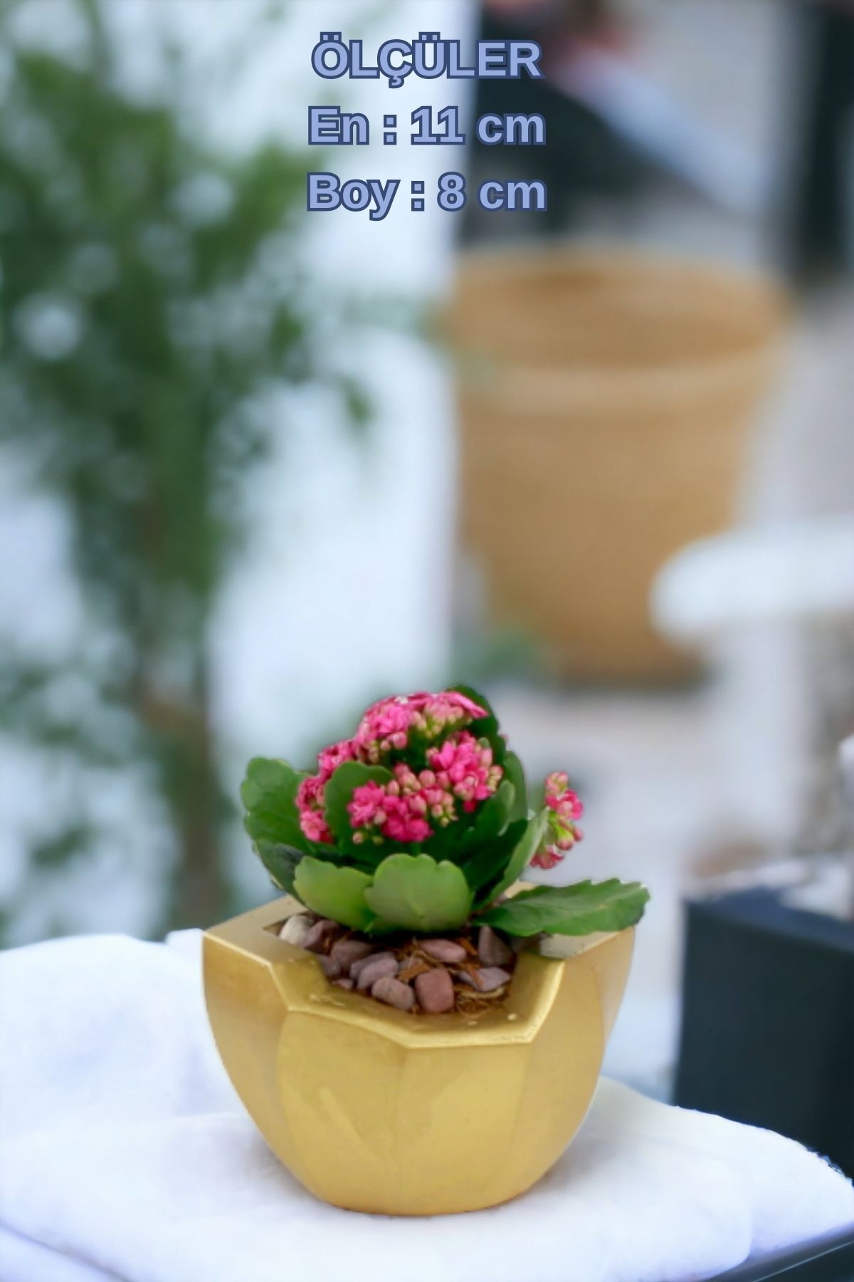 Altın thumbnail image