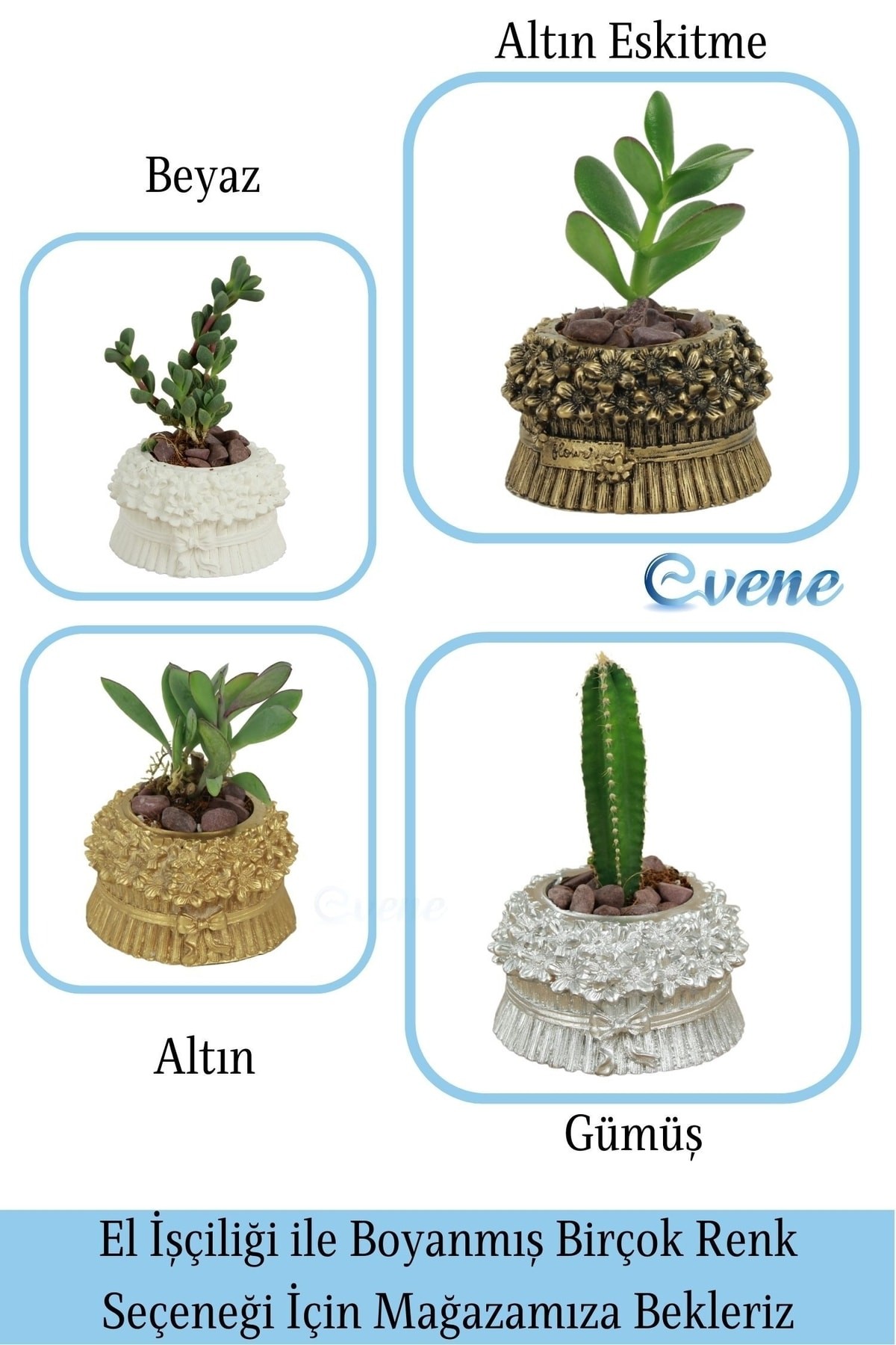 Mini Çiçek Saksı Küçük Sukulent Beyaz Kaktüs Saksısı Çiçekli Fiyonklu Model