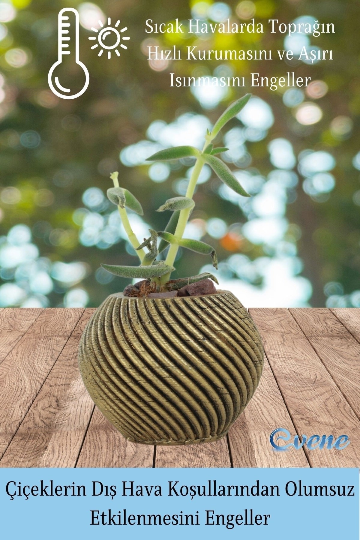 Mini Çiçek Saksı Küçük Sukulent Altın Eskitme Kaktüs Saksısı İnce Çizgili Spiral Model
