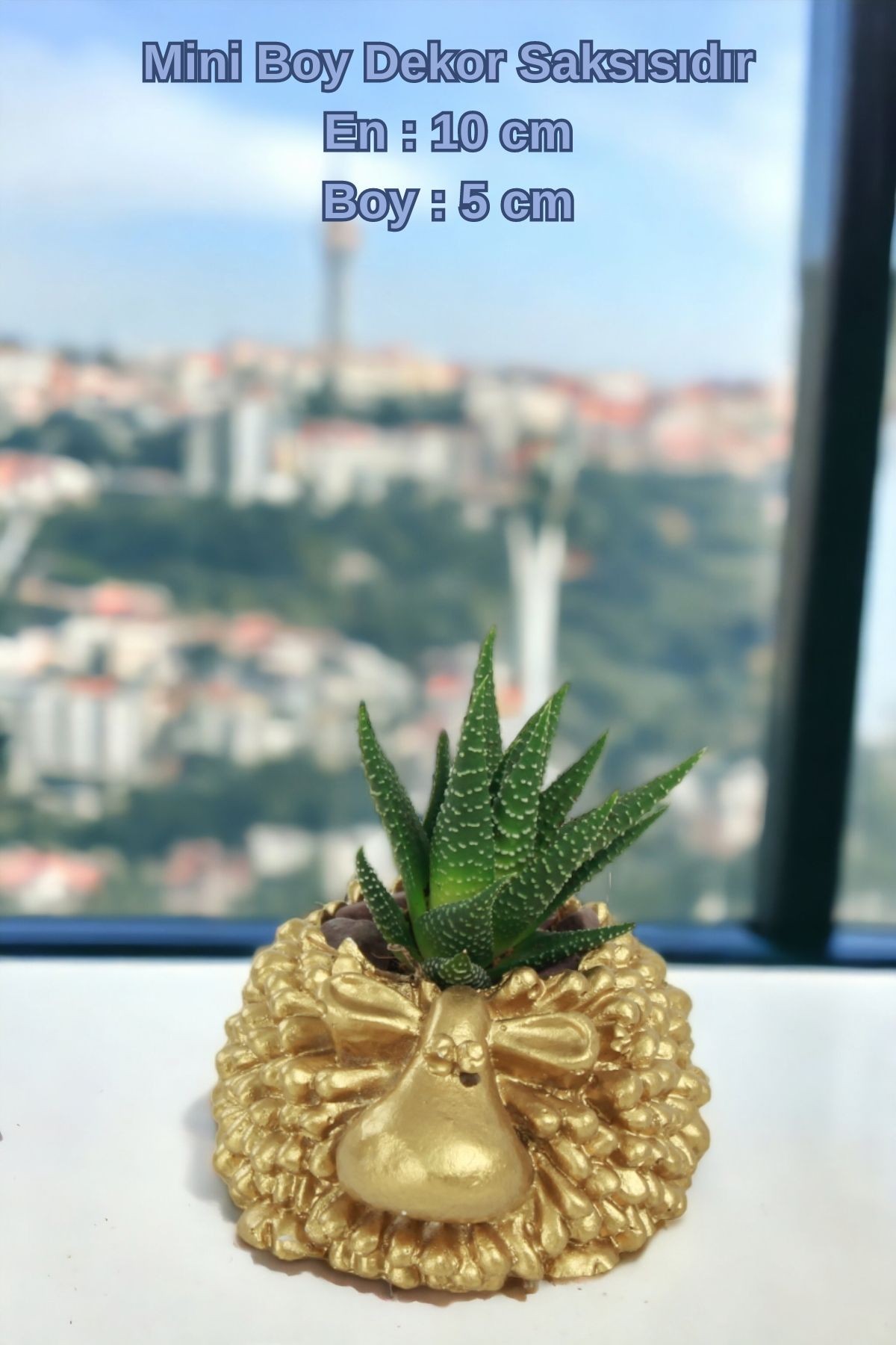 Altın thumbnail image