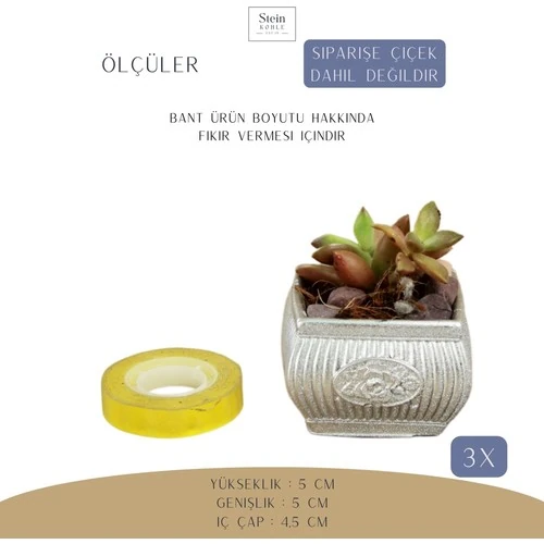 Stein Kohle Dekoratif Saksı Minik Kaktüs Saksısı Mini Çizgili Çiçekli Model