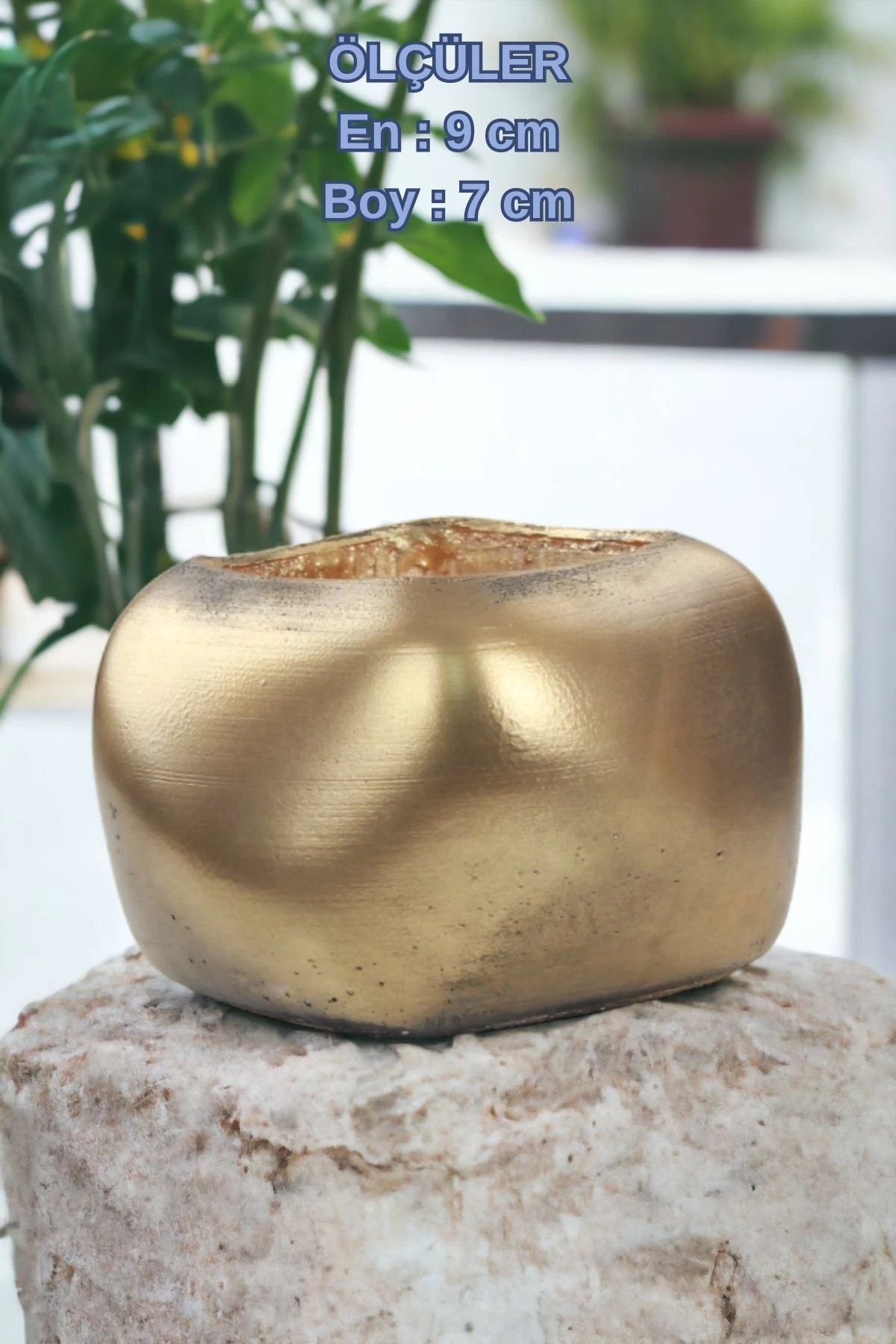 Siyah - Altın thumbnail image