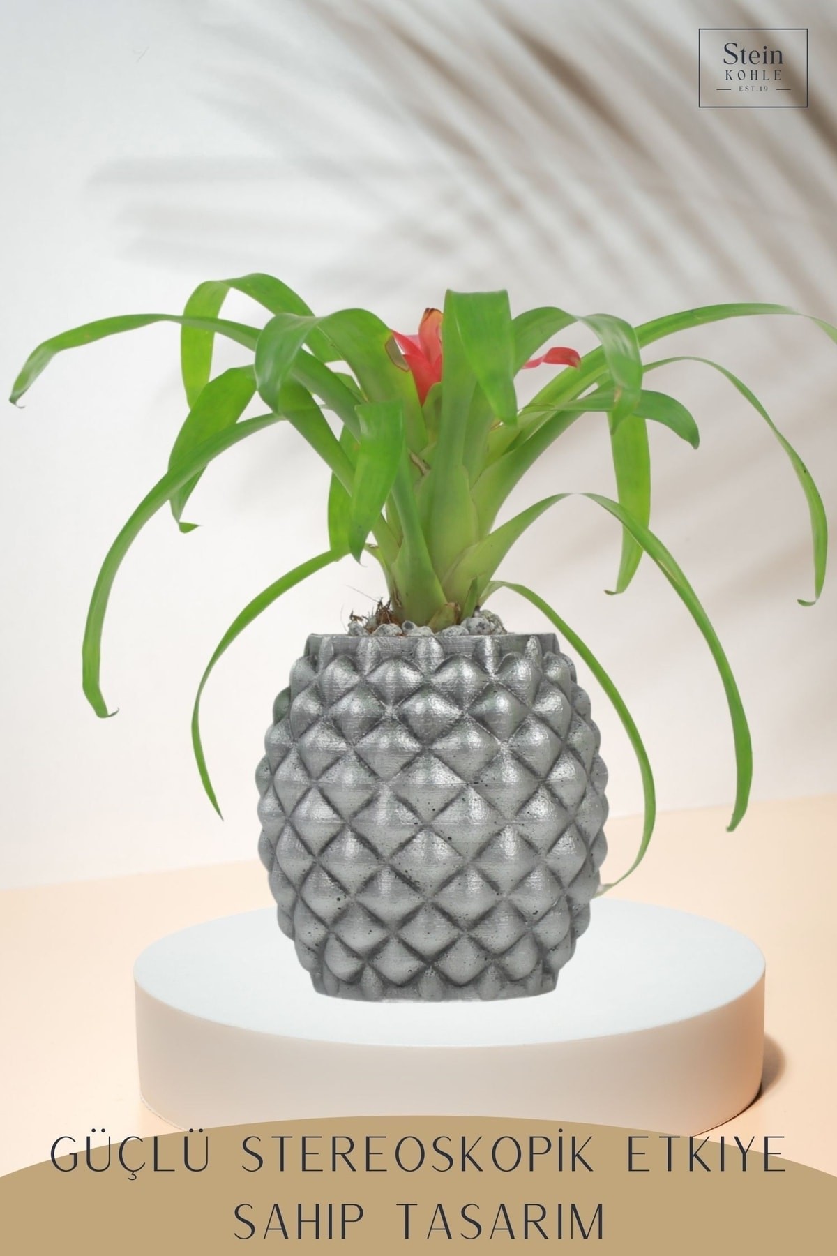 Çiçek Saksısı Büyük Boy 2 Adet Gümüş Renk Eskitme Uygulamalı Ananas Model