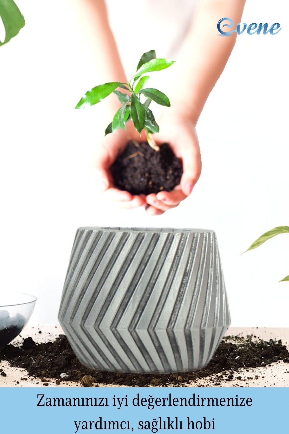 Saksı Çiçek Kaktüs Saksısı Lüx 15 Cm Gümüş Eskitme Varak Boyalı Dişli Desen Saksı Çiçeklik