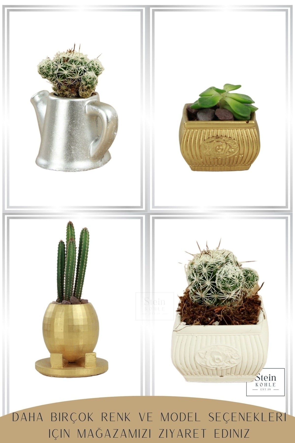 Altın thumbnail image