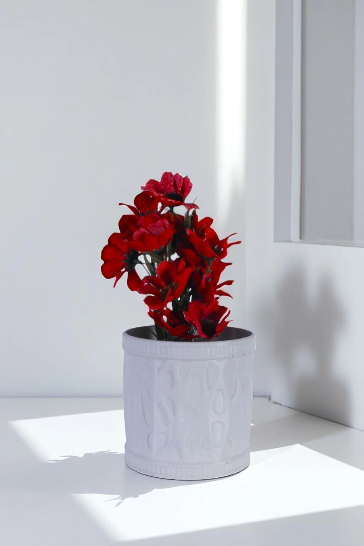 Beyaz thumbnail image