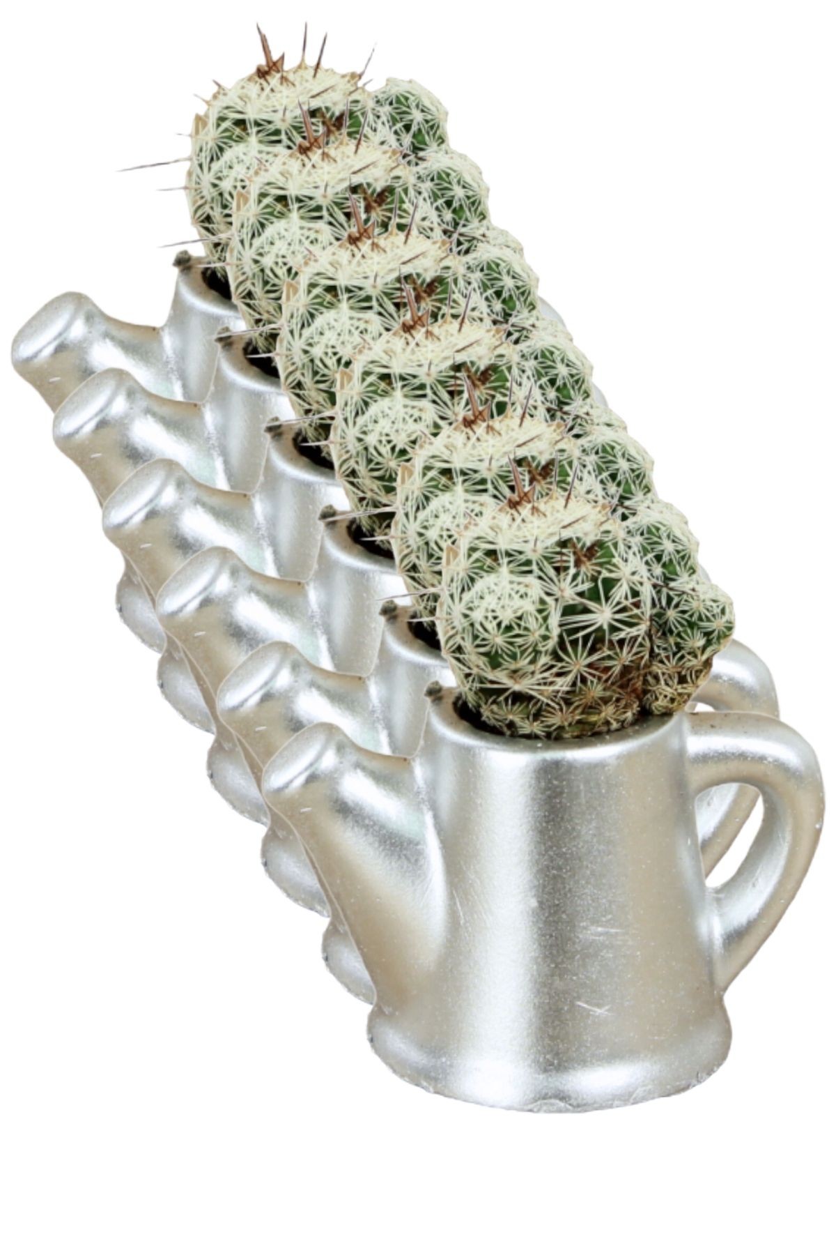 Gümüş thumbnail image