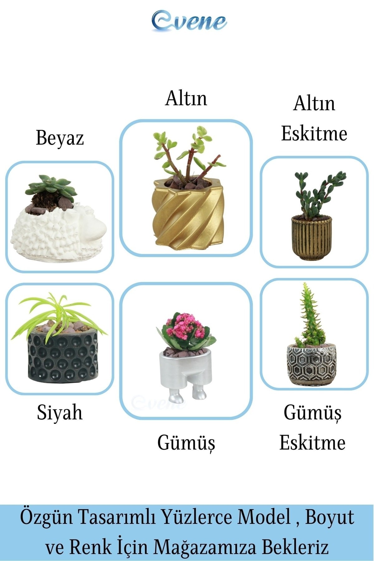 Mini Çiçek Saksı Küçük Sukulent Siyah Kaktüs Saksısı Baklava Çizgili Model