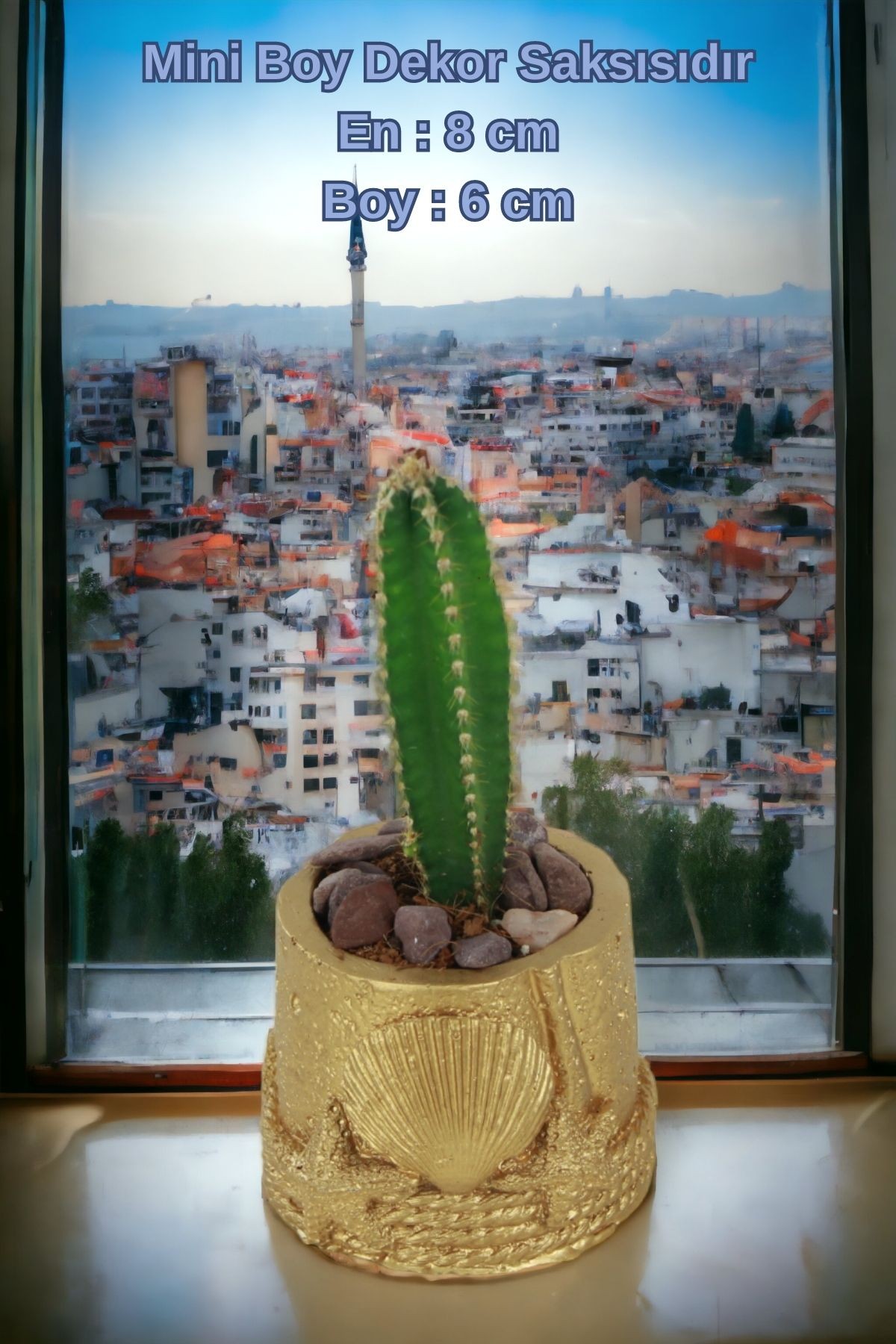 Altın thumbnail image