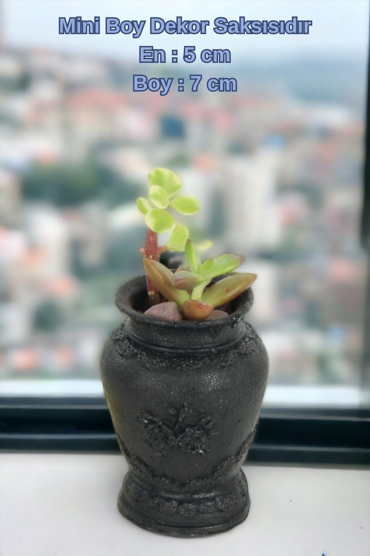 SİYAH thumbnail image