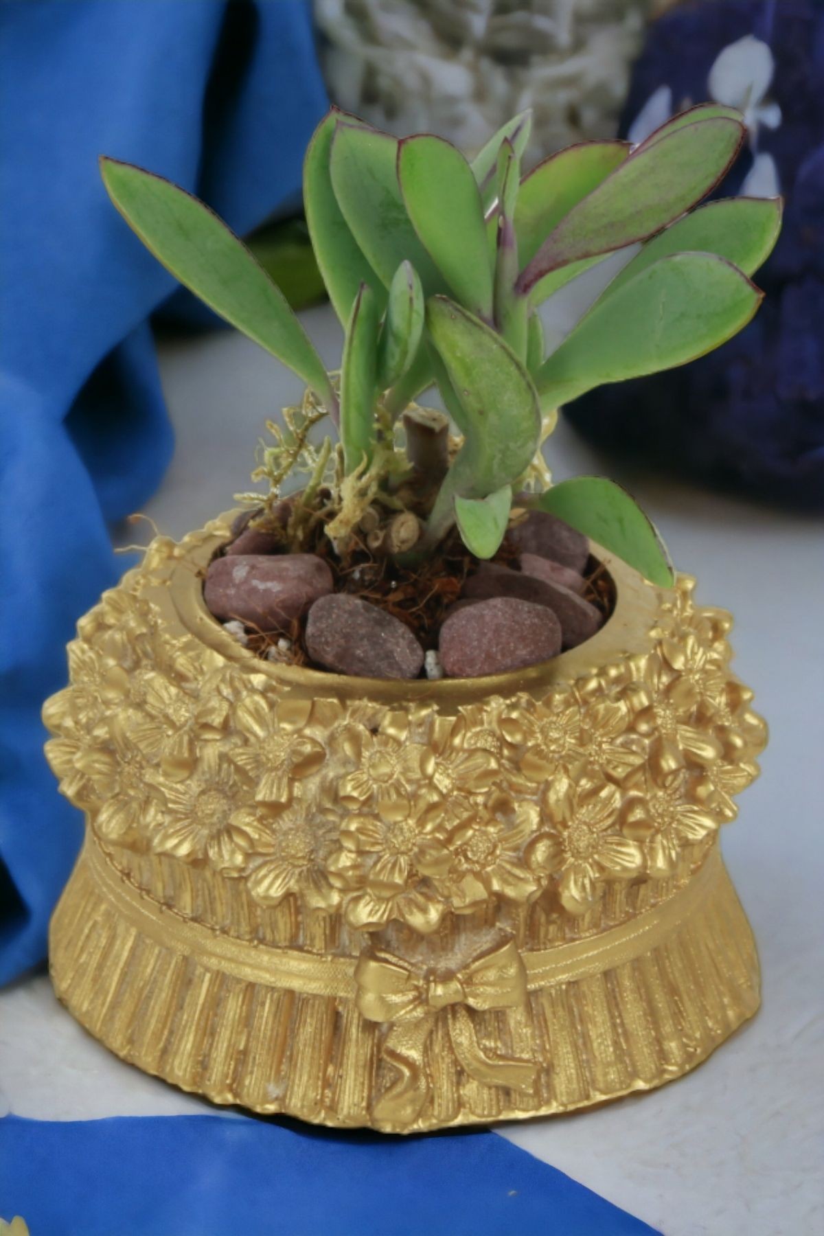 Altın thumbnail image