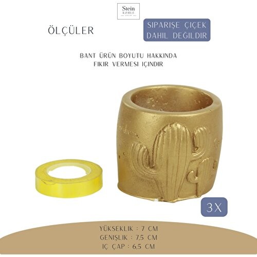 Stein Kohle Dekoratif Saksı Minik Kaktüs Saksısı Kaktüs Desenli Model
