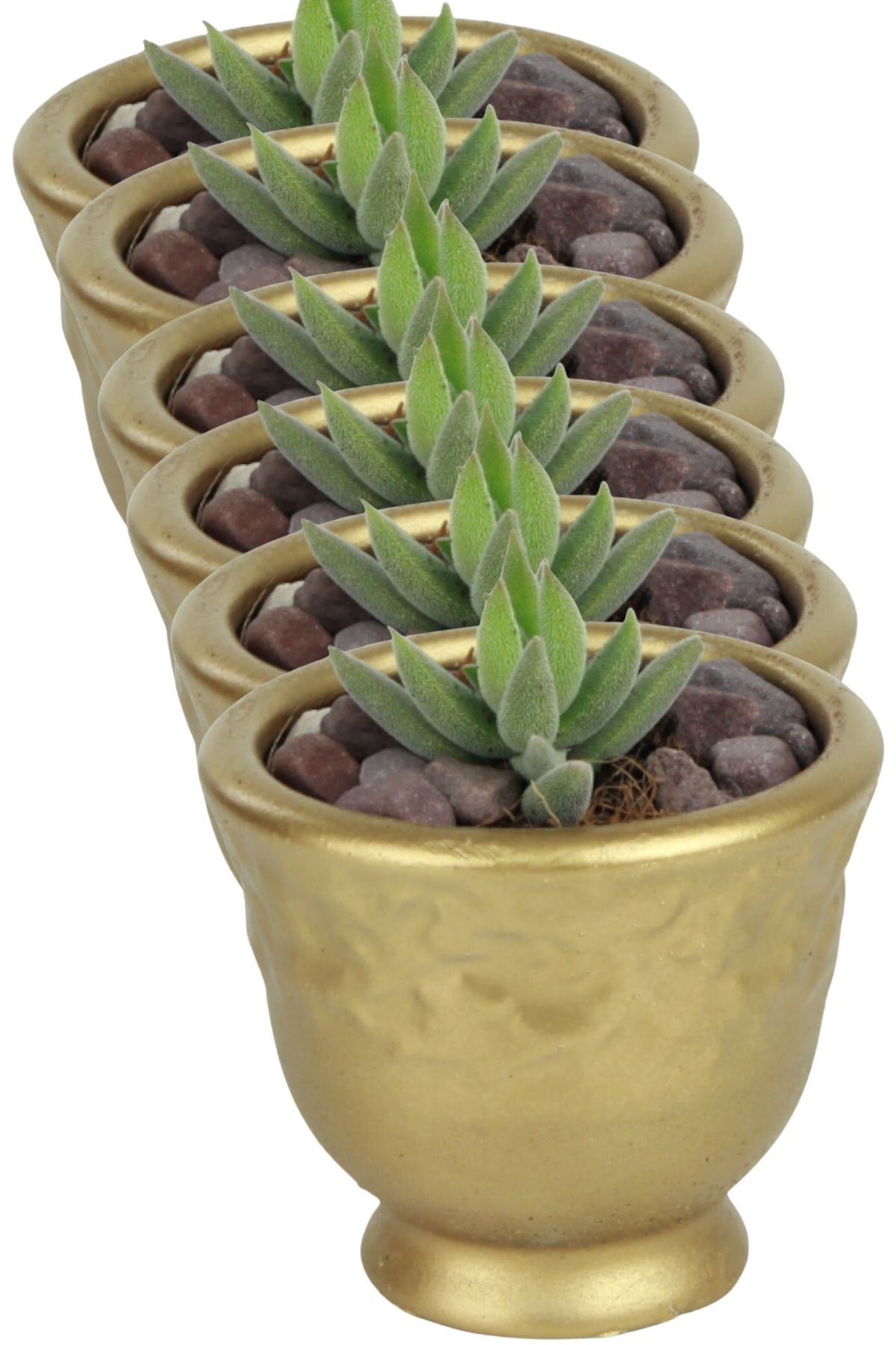 Altın thumbnail image