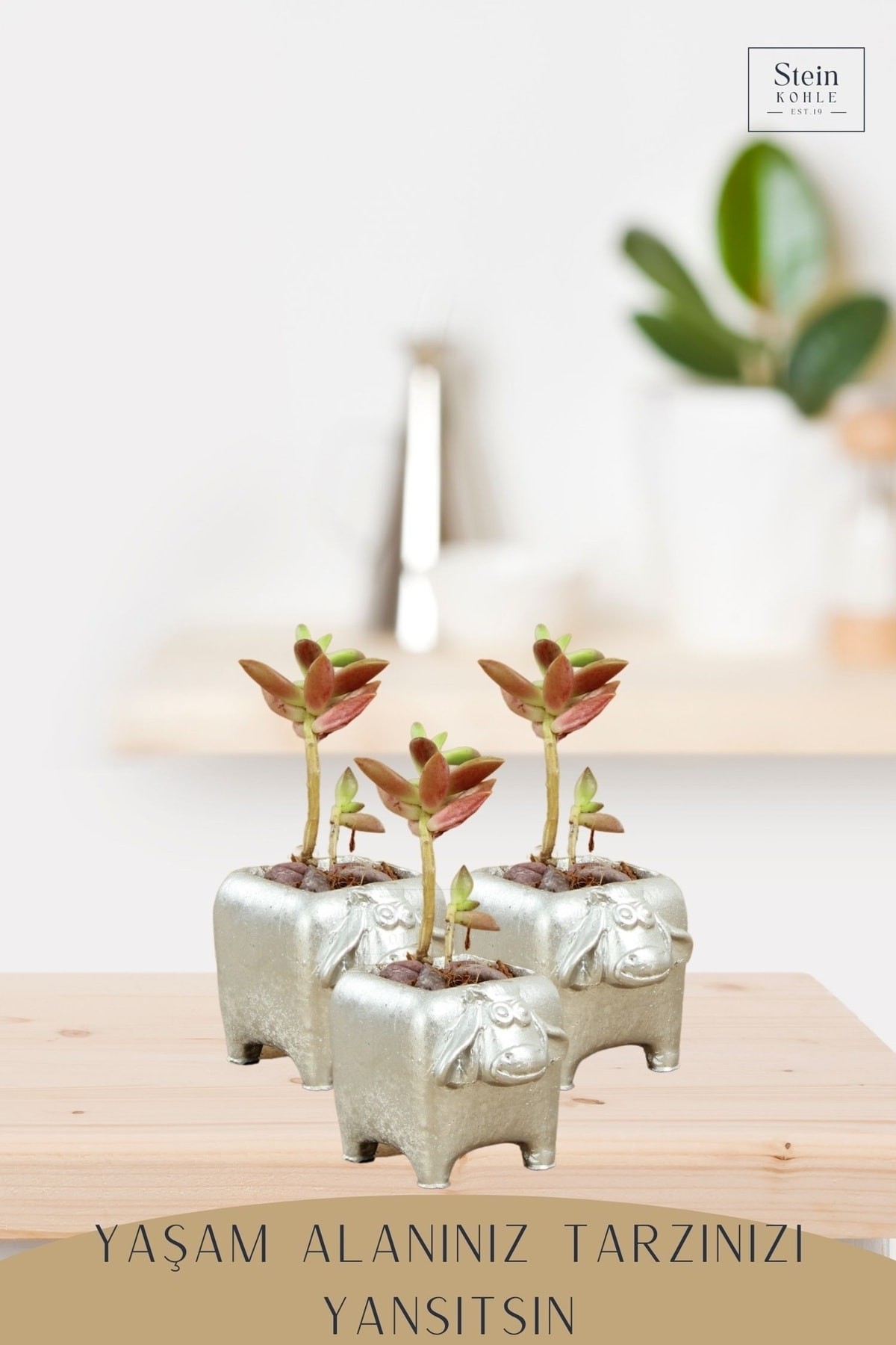 Dekoratif Saksı Minik Kaktüs Saksısı Gümüş Renk 3 Adet Saksı Seti Mini Inek Model