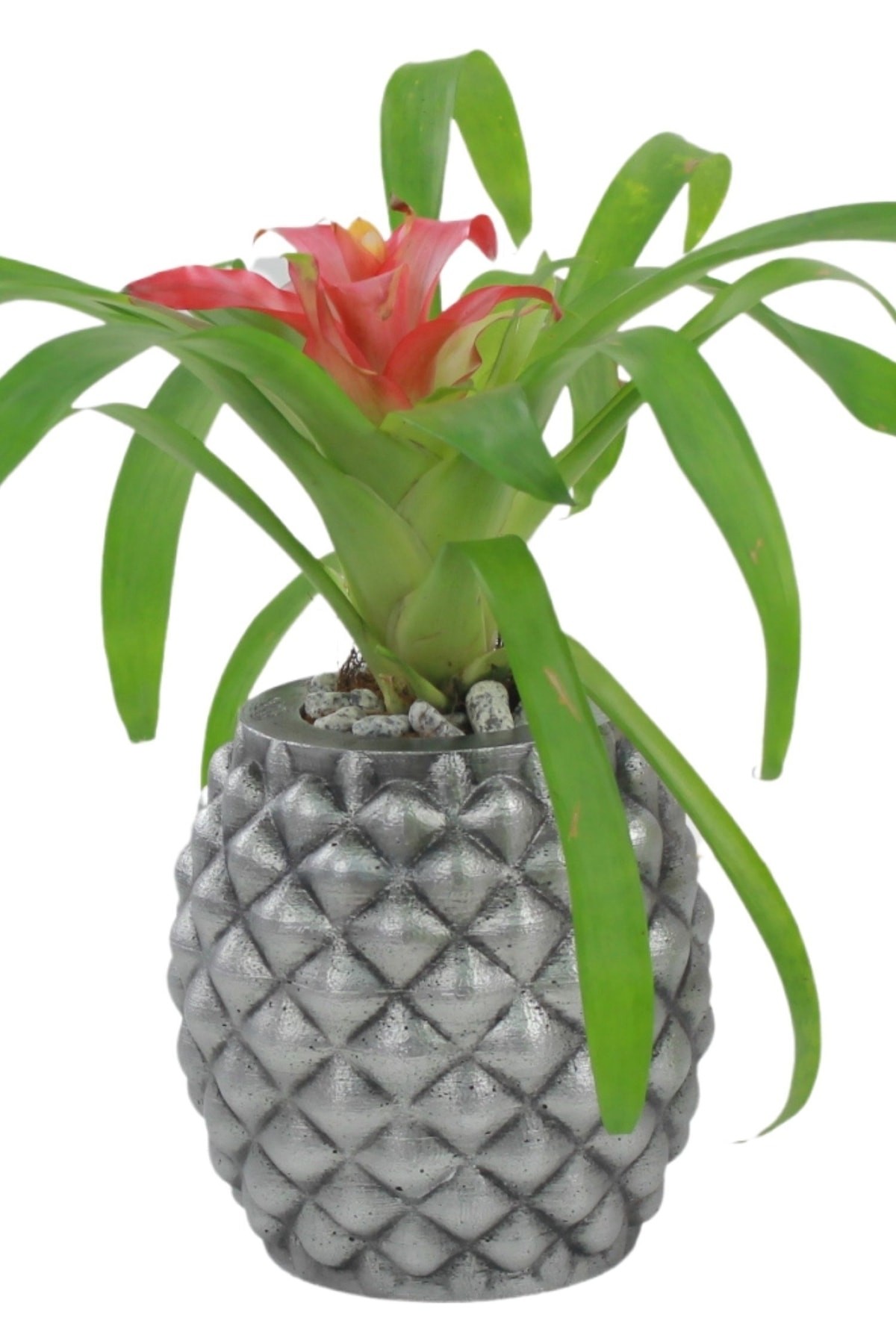 Saksı Çiçek Kaktüs Saksısı Lüx 15 Cm Gümüş Eskitme Varak Boyalı Ananas Desen Saksı Çiçeklik