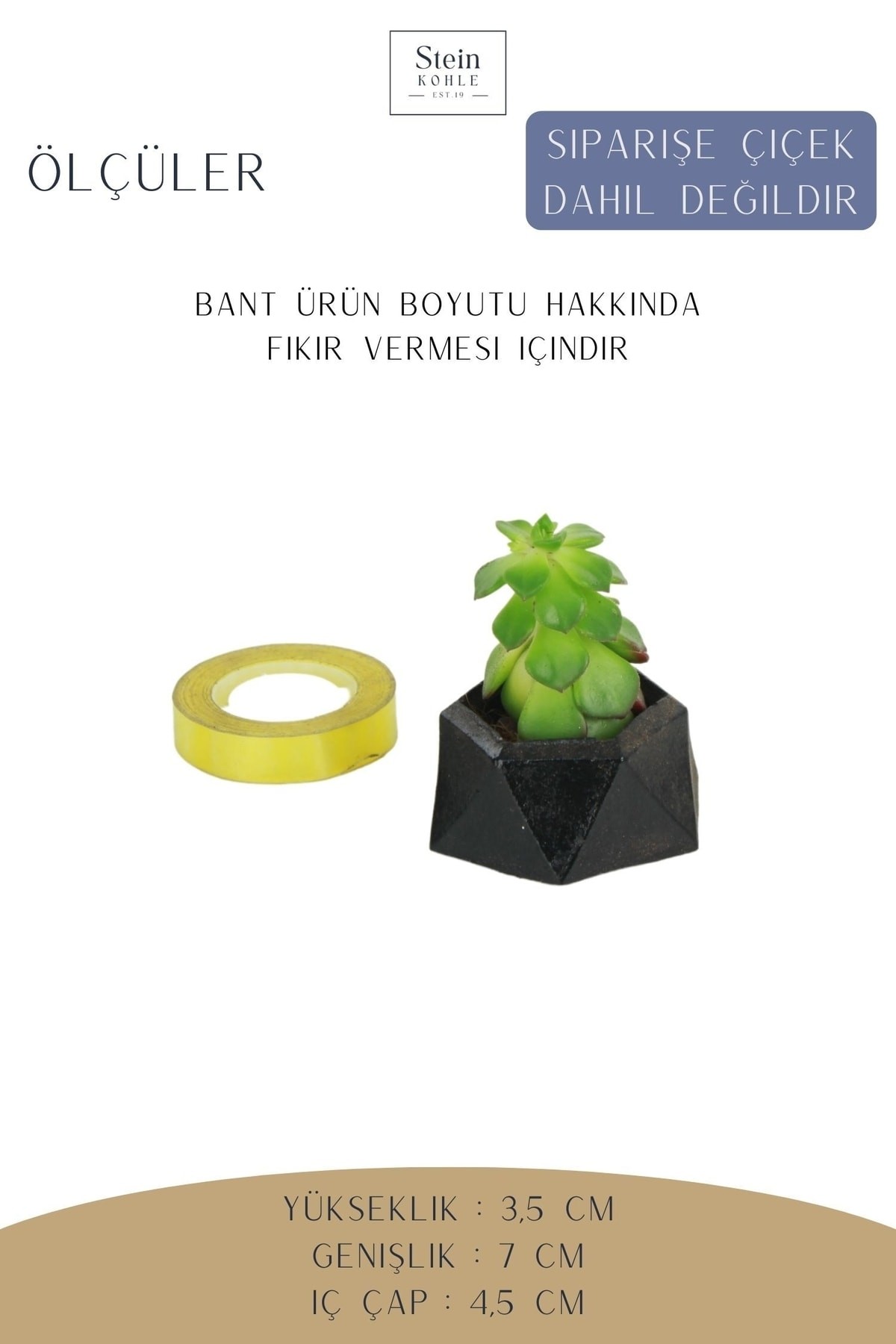 Dekoratif Saksı Minik Kaktüs Saksısı Beyaz Renk 1 Adet Mini Poly 2 Model