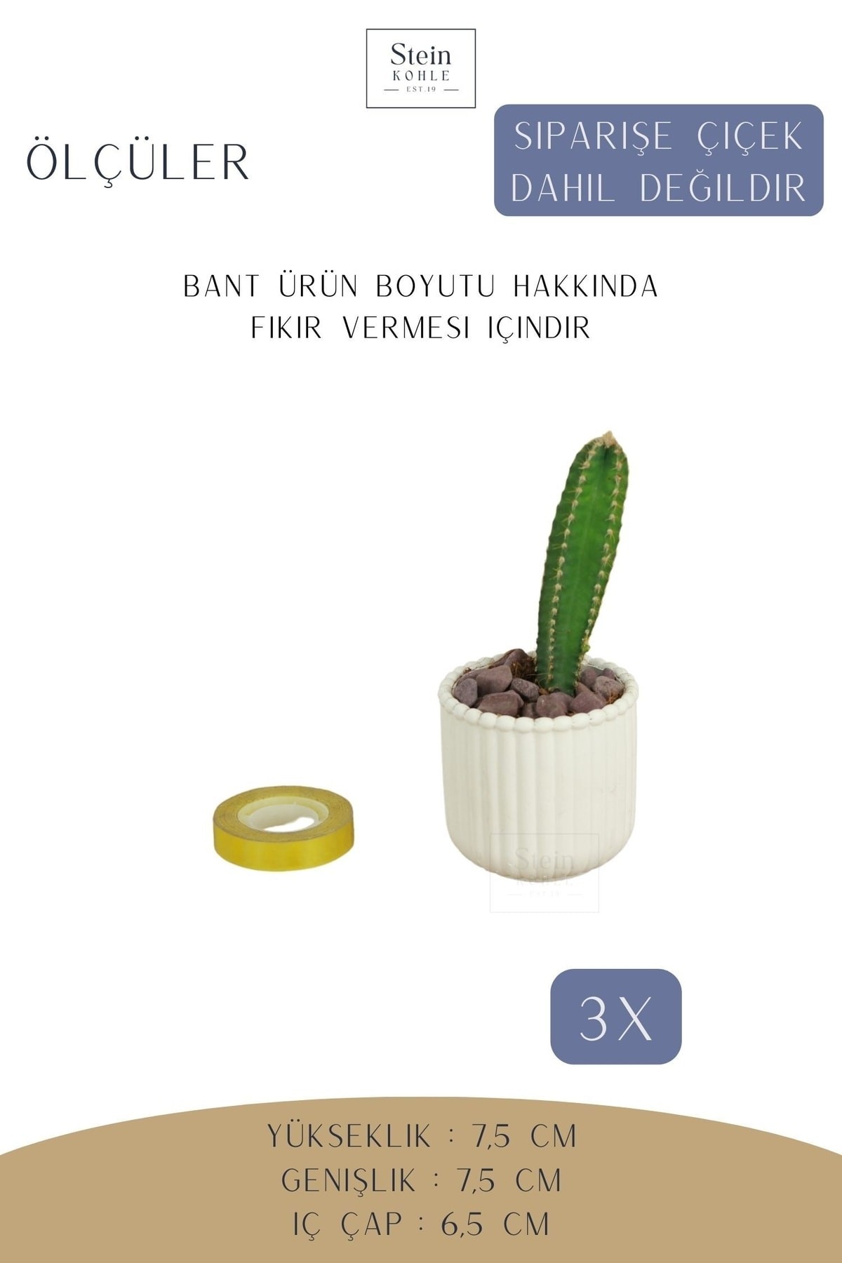 Dekoratif Saksı Minik Kaktüs Saksısı Beyaz Renk 3 Adet Saksı Seti Vintage Düz Çizgili Model