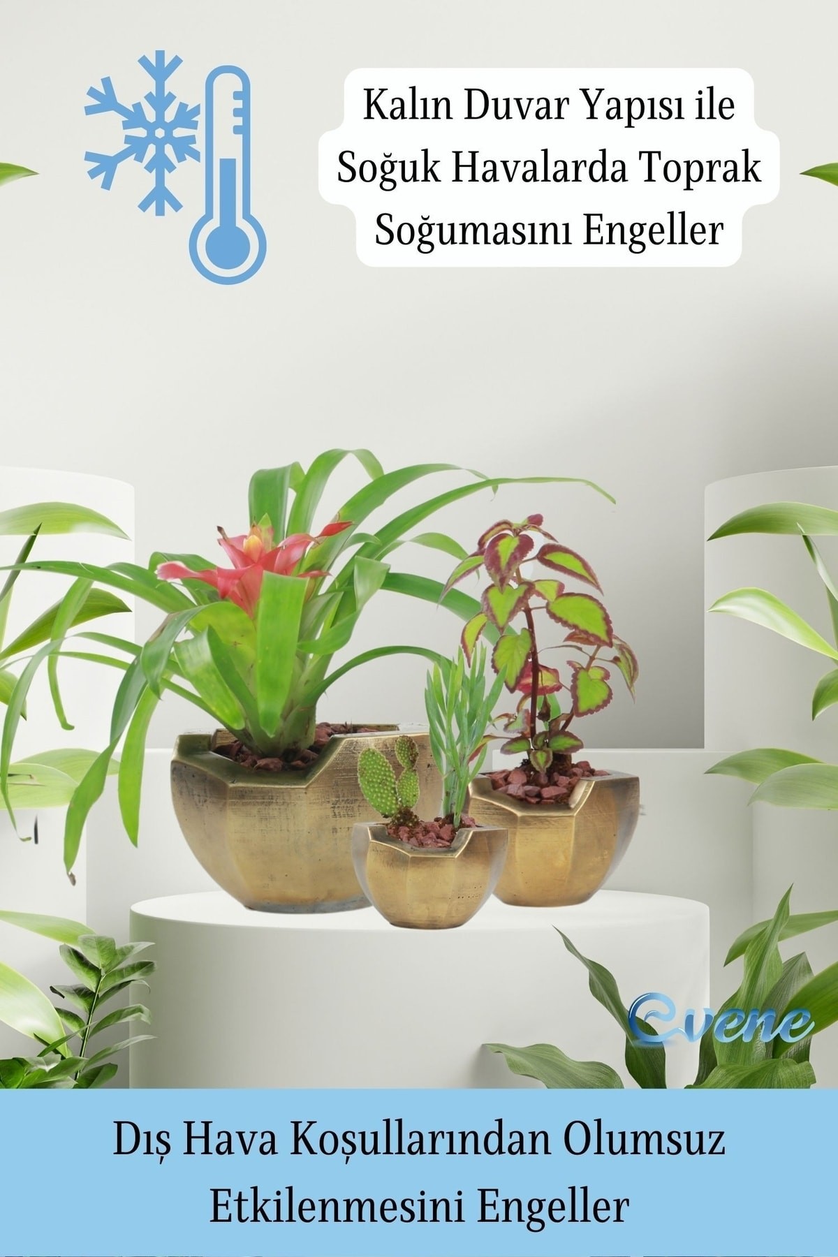 Saksı Çiçek Kaktüs Saksısı Lüx 15 Cm Altın Eskitme Varak Boyalı Önü Açık Desenli 3'lü Set Çiçeklik