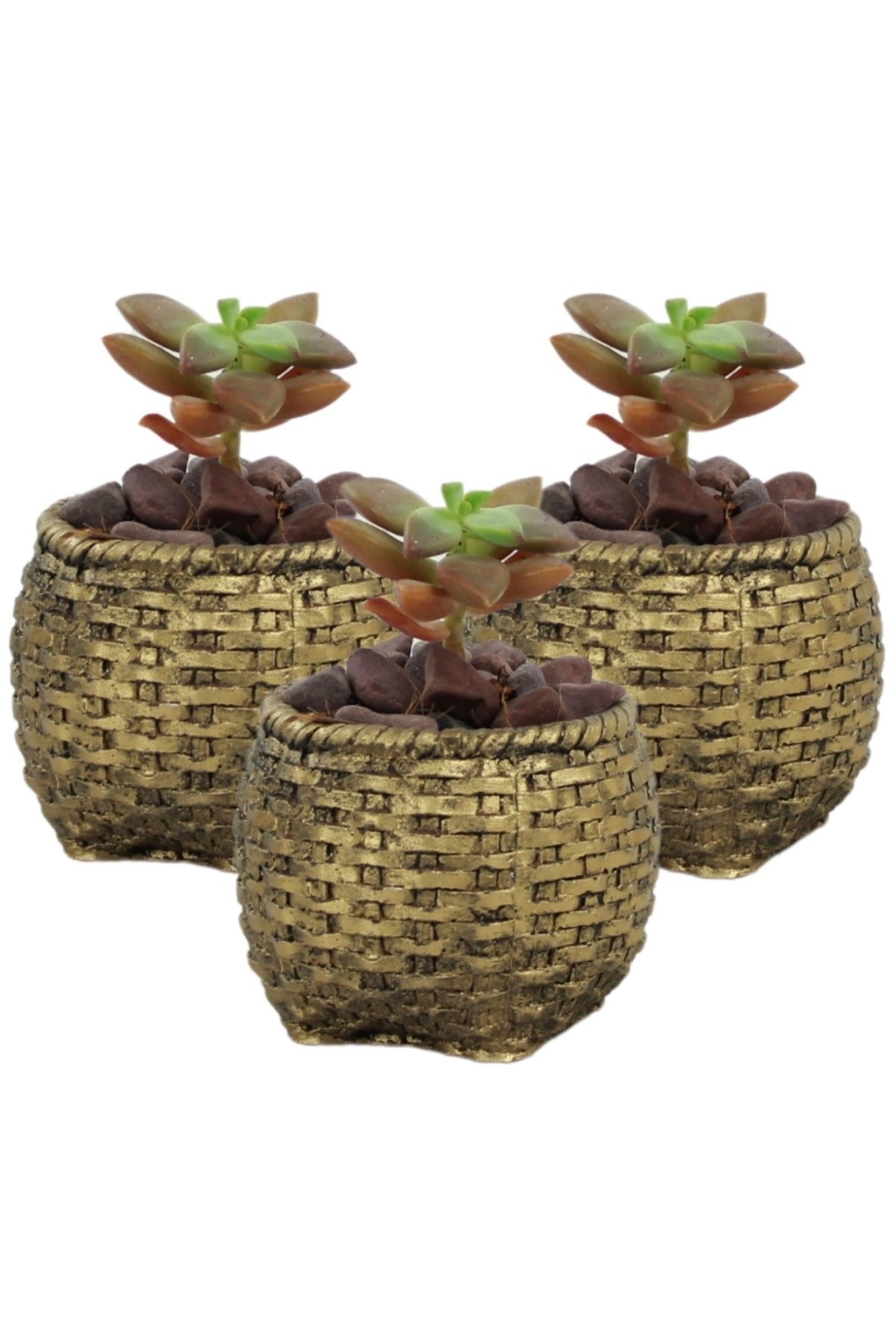 Siyah - Altın thumbnail image