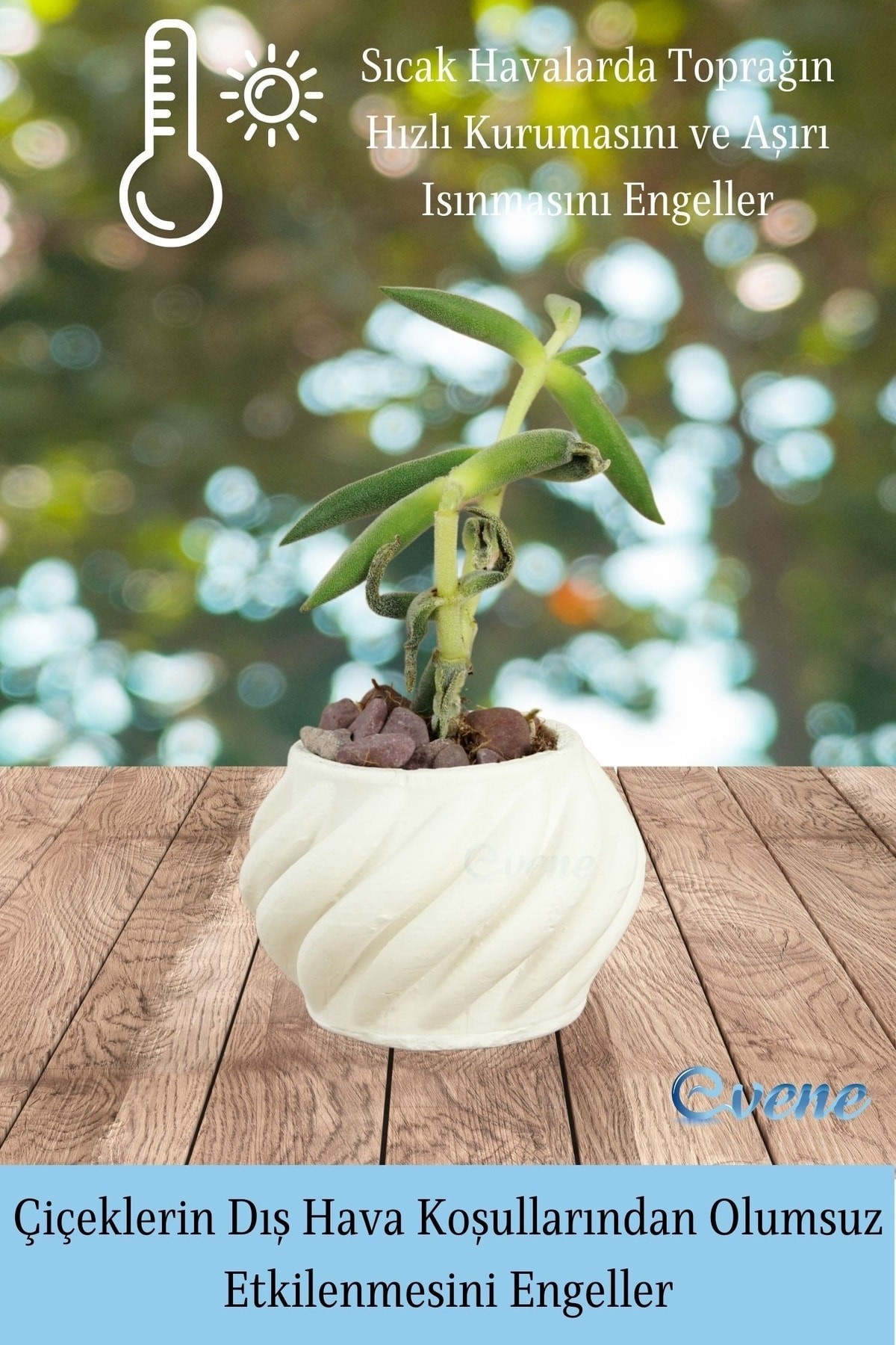 Mini Çiçek Saksı Küçük Sukulent Beyaz Kaktüs Saksısı Kalın Çizgili Spiral Model