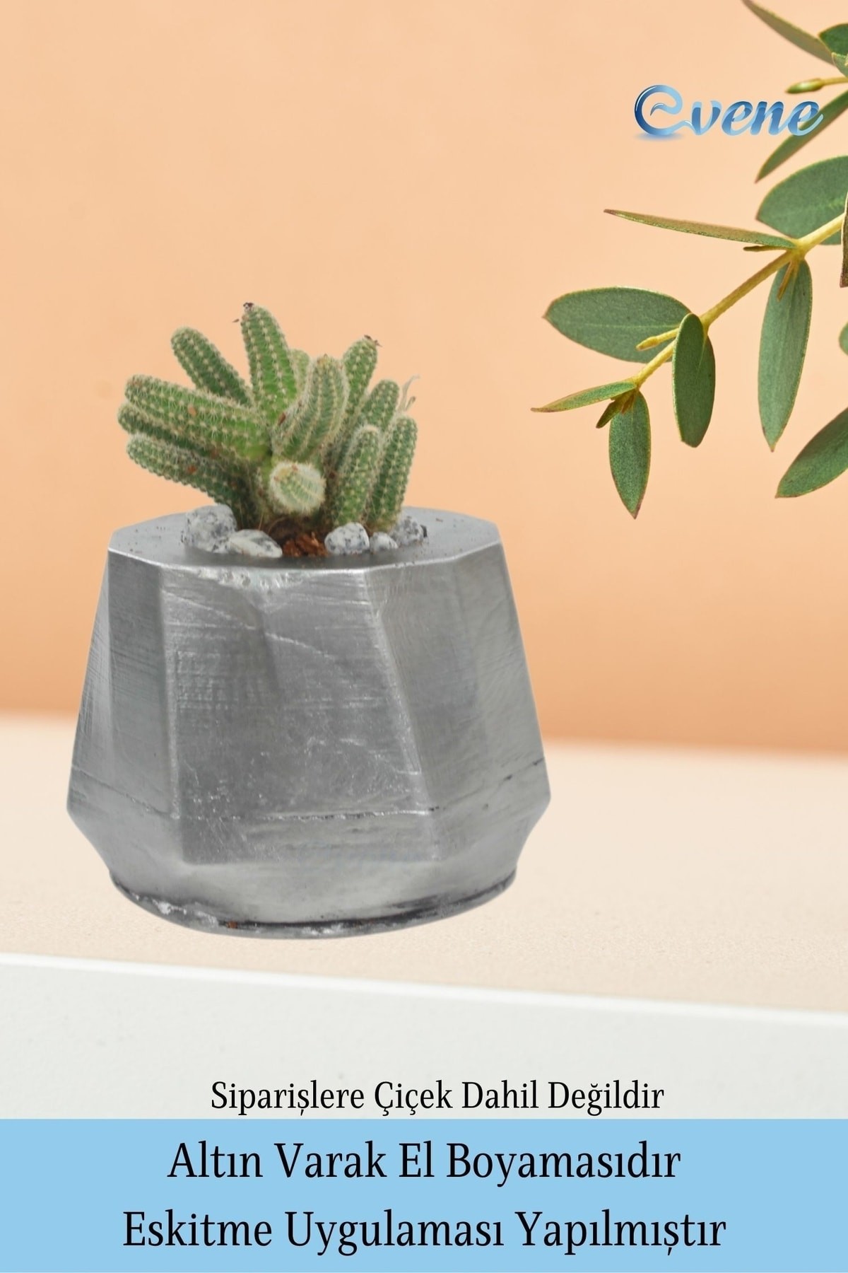 Saksı Çiçek Kaktüs Saksısı Lüx 11,5 cm Gümüş Eskitme Varak Boyalı Kalın Çizgi Desen Saksı Çiçeklik