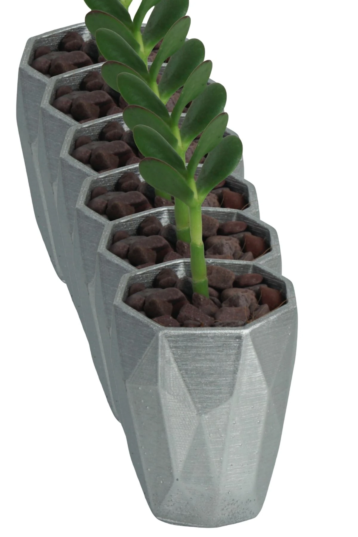 Gümüş thumbnail image