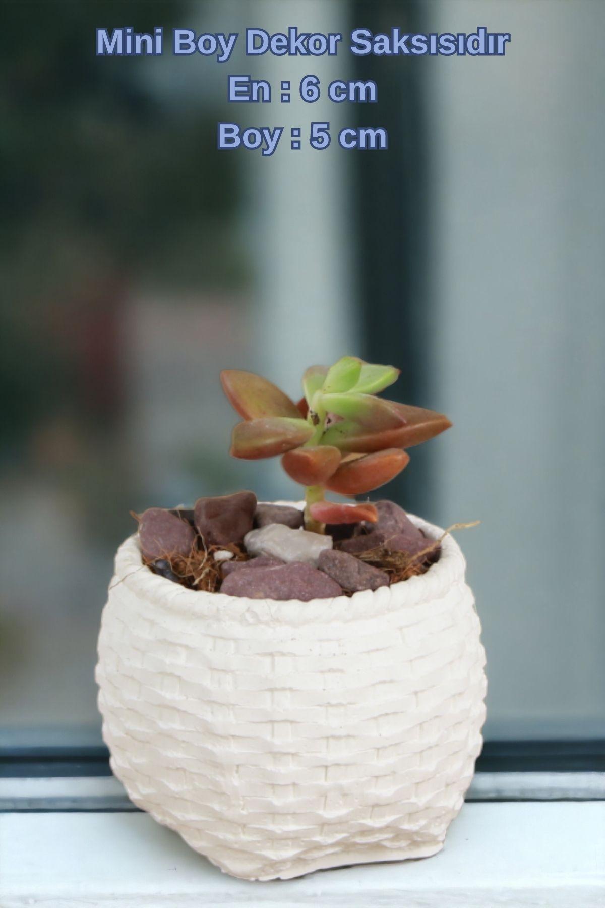 Beyaz thumbnail image