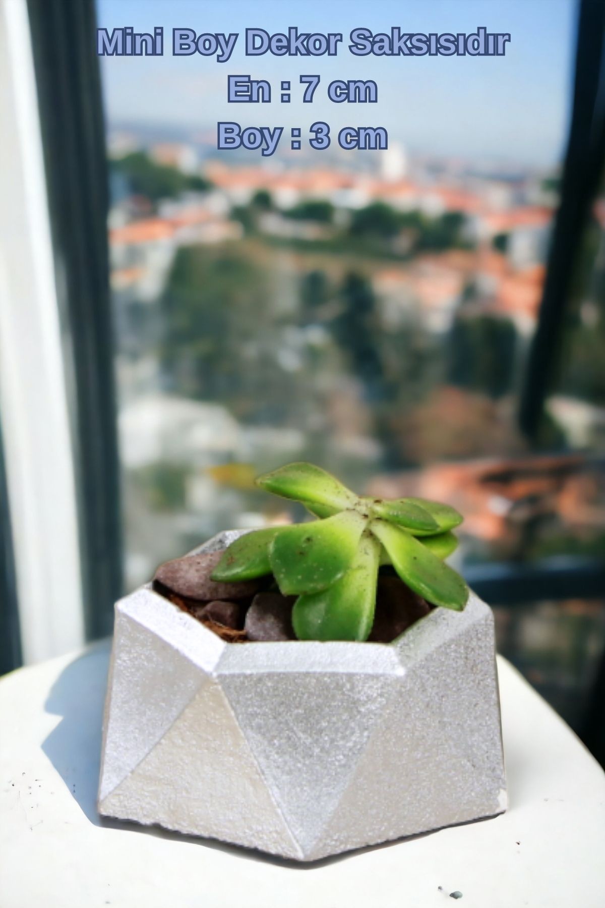 Gümüş thumbnail image