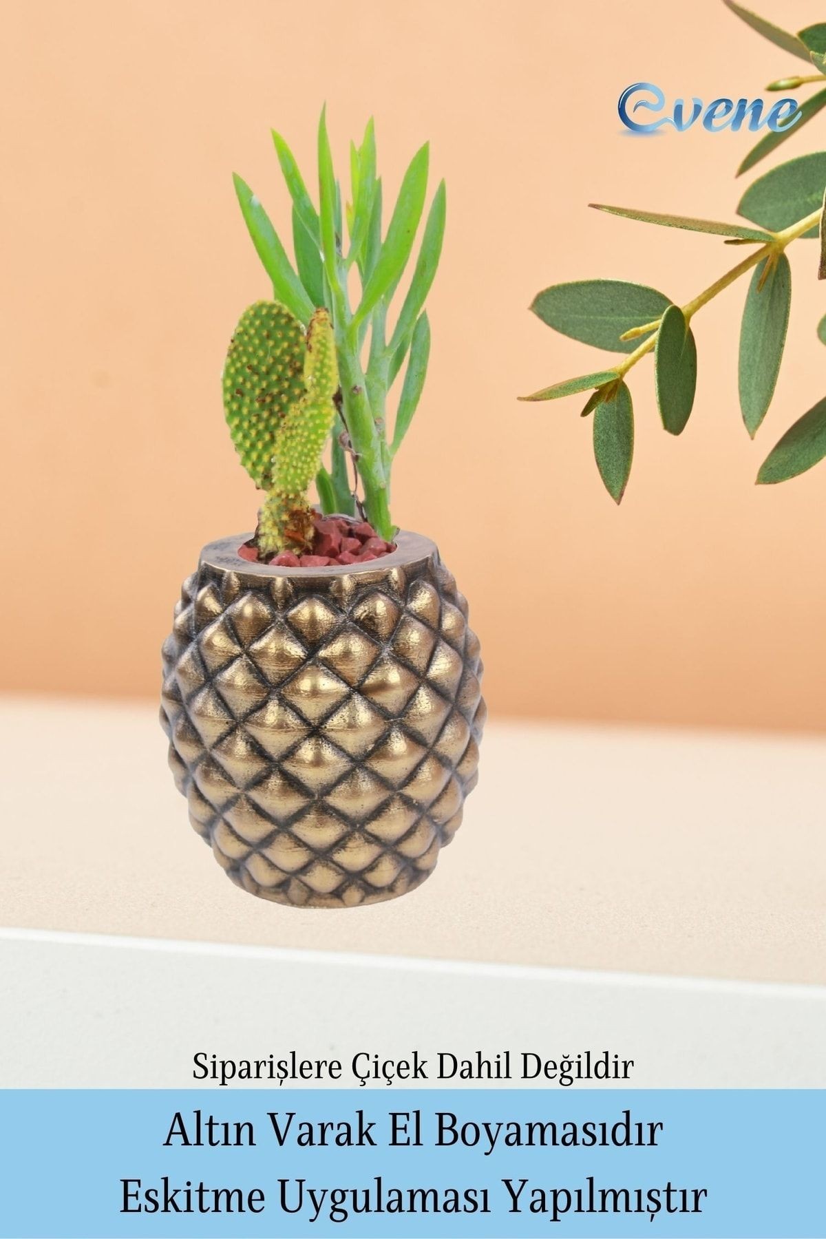 Saksı Çiçek Kaktüs Saksısı Lüx 15 Cm Altın Eskitme Varak Boyalı Ananas Desen Saksı Çiçeklik