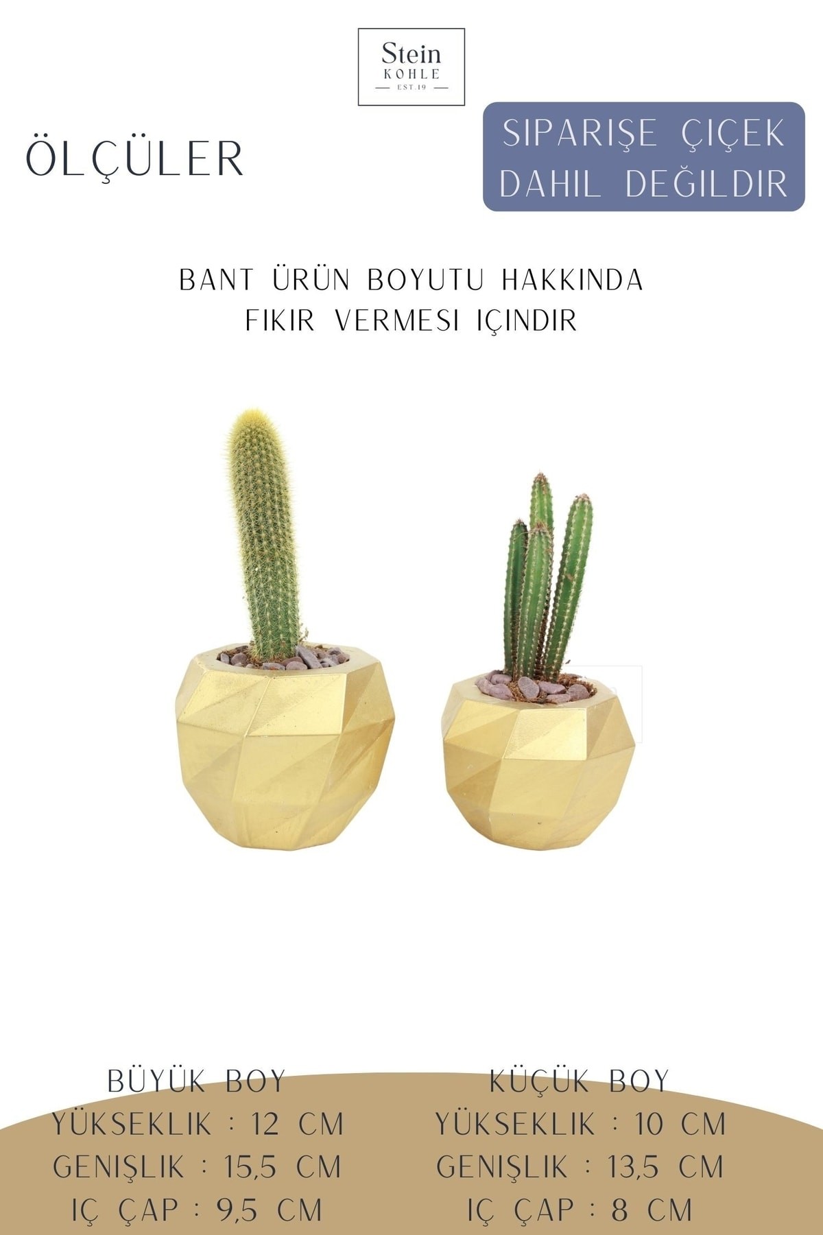 Çiçek Saksısı Büyük Boy 2 Adet Altın Renk Uygulamalı Dönen Poly Model