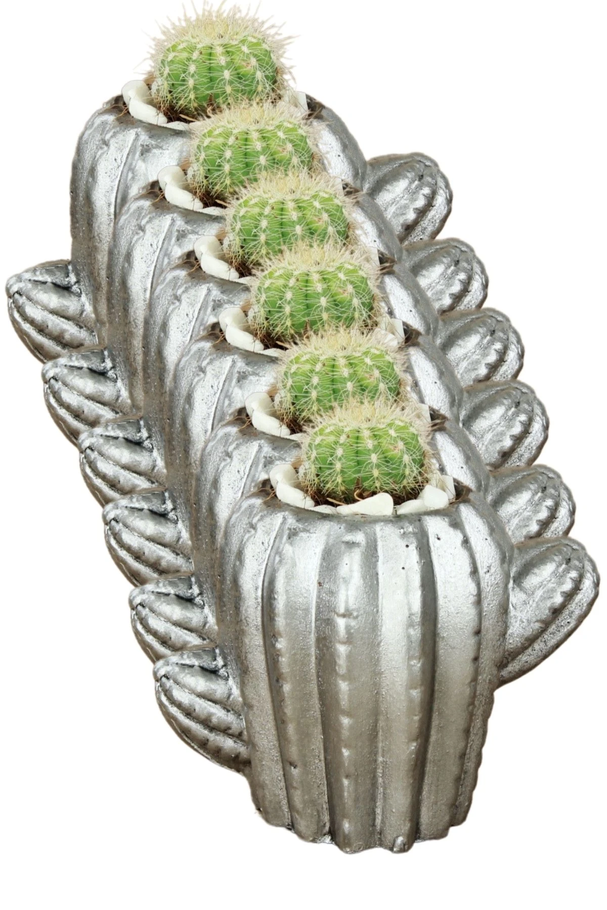 GÜMÜŞ ESKİTME thumbnail image