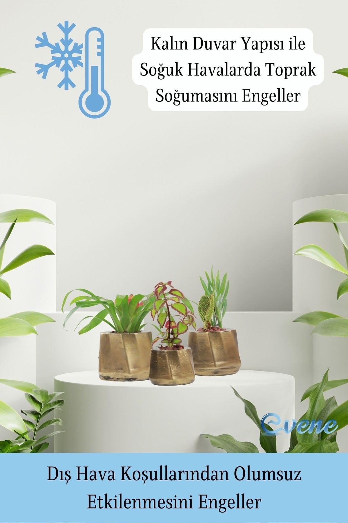 Saksı Çiçek Kaktüs Saksısı Lüx 15 cm Altın Eskitme Varak Boyalı Kalın Çizgi Desen 3'lü Set Çiçeklik