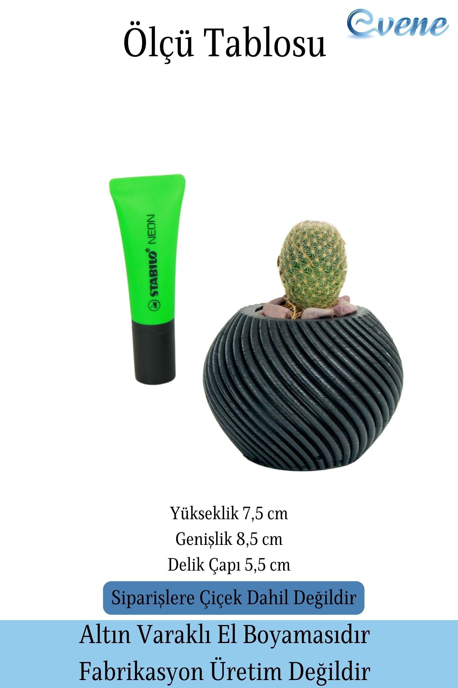 Mini Çiçek Saksısı Küçük Sukulent Siyah Kaktüs Saksı İnce Çizgili Spiral Model