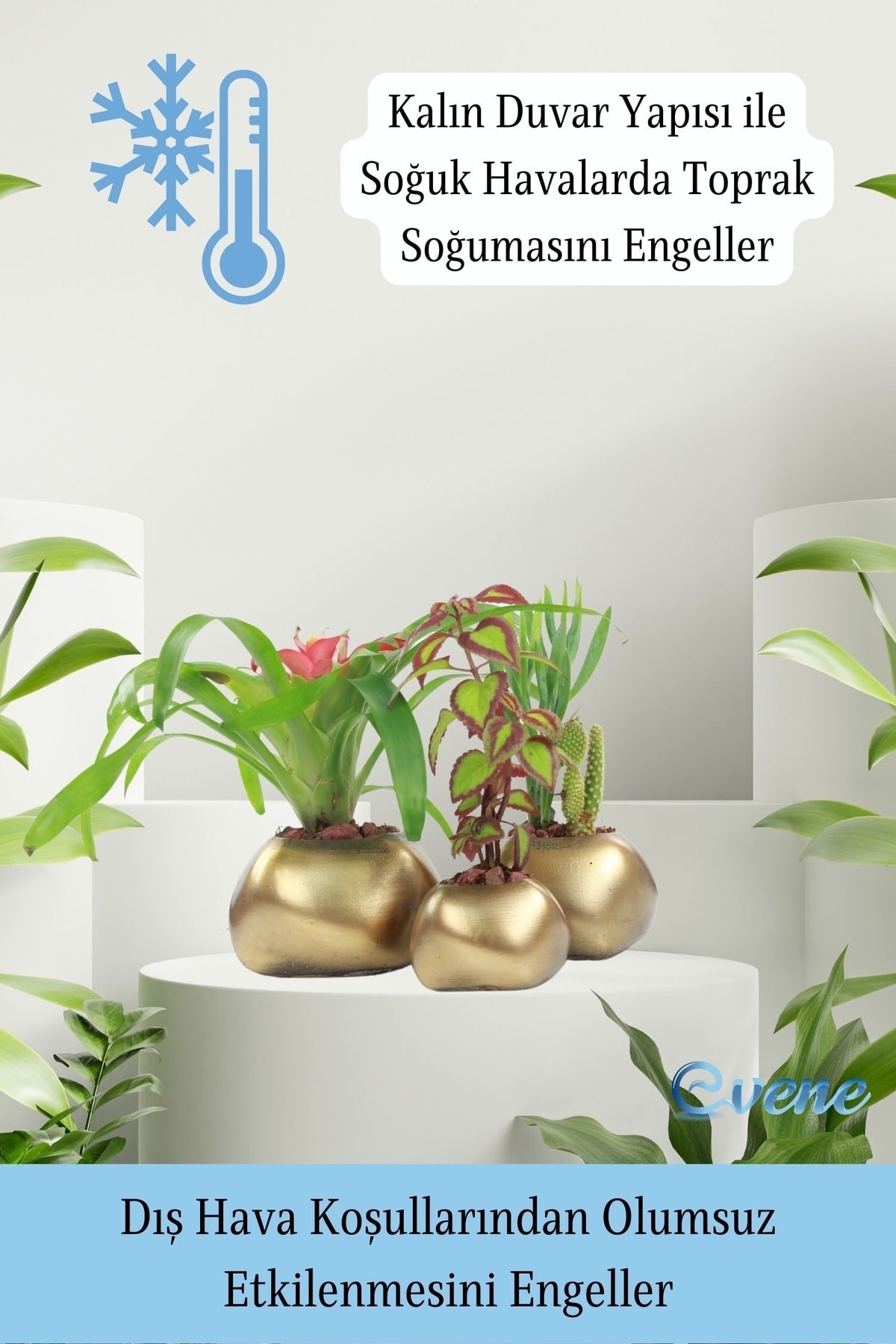 Saksı Çiçek Kaktüs Saksısı Lüx 14 Cm Altın Eskitme Varak Boyalı Elips Desenli 3'lü Set Çiçeklik