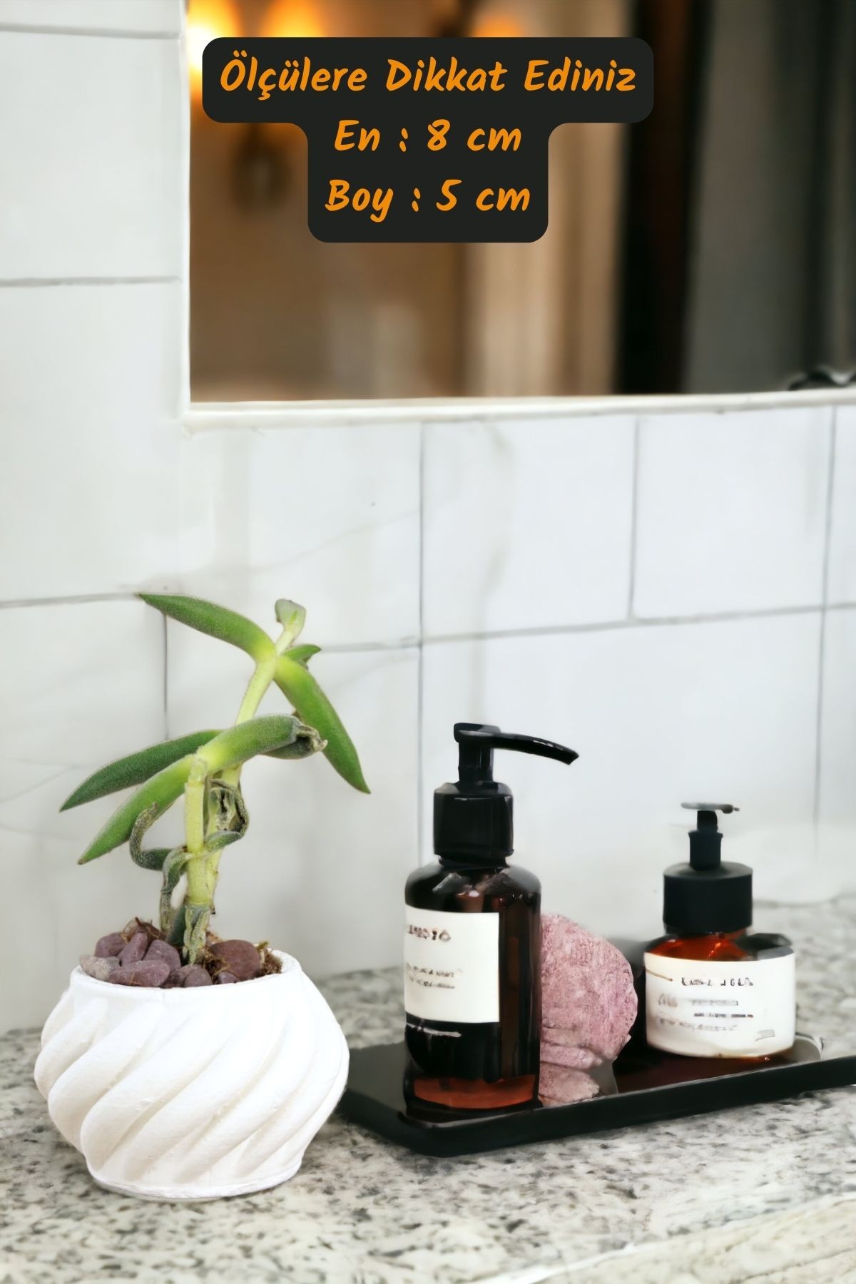 Premium Saksı Minyatür Dekoratif Kaktüs Sukulent Saksısı Model 4