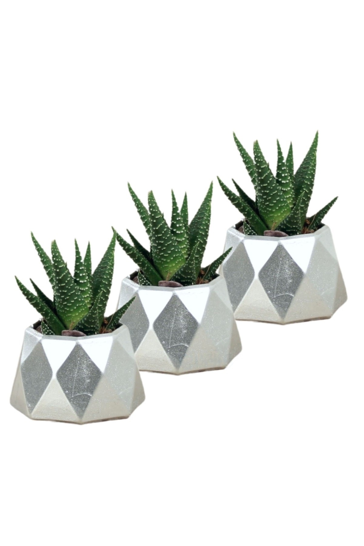 Mini Çiçek Saksı Küçük Sukulent Gümüş Kaktüs Saksısı 3'lü Set Mini Poly 1 Model