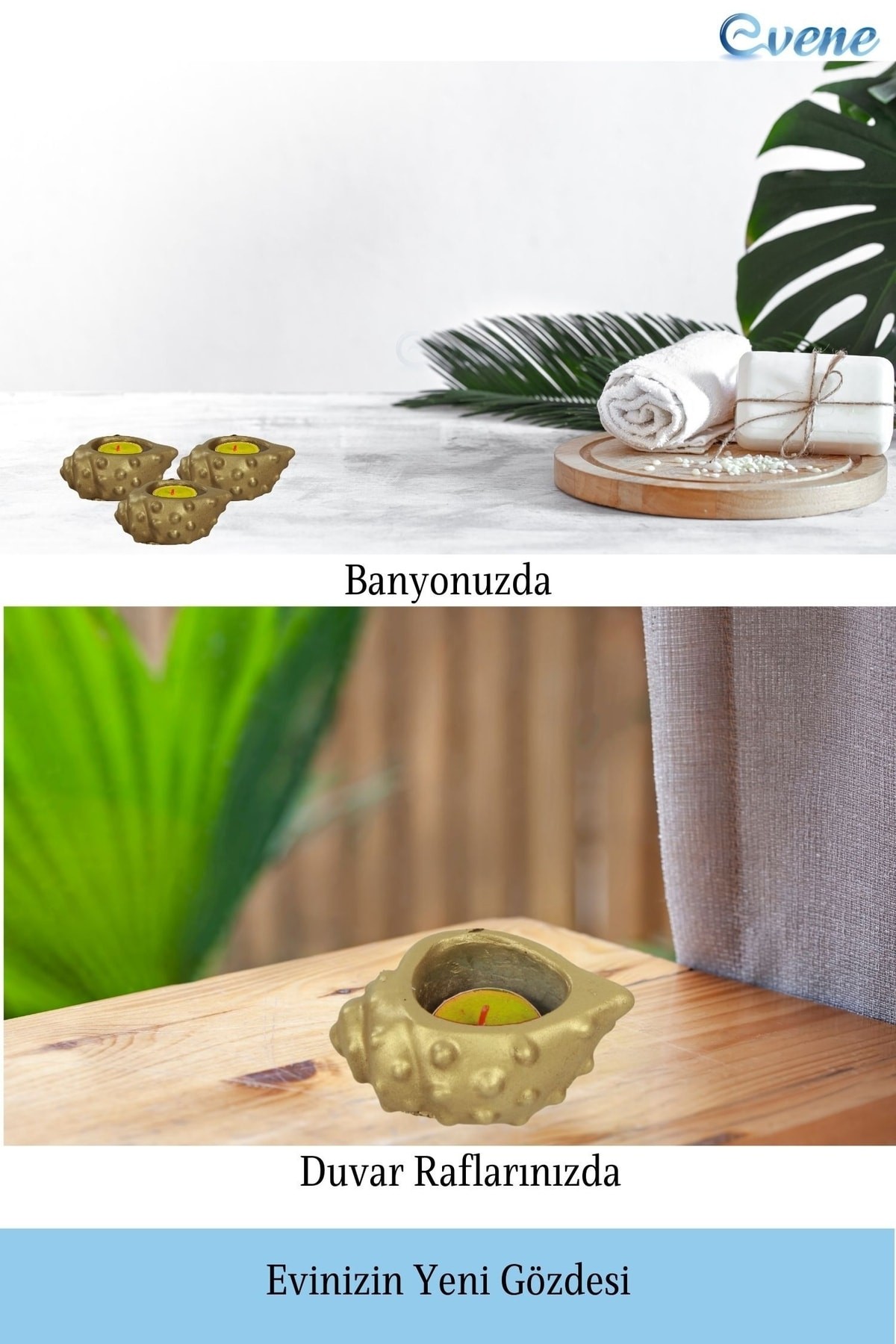 Altın Mumluk Şamdan 3 Adet Tealight Uyumlu Deniz Kabuğu Mum Model