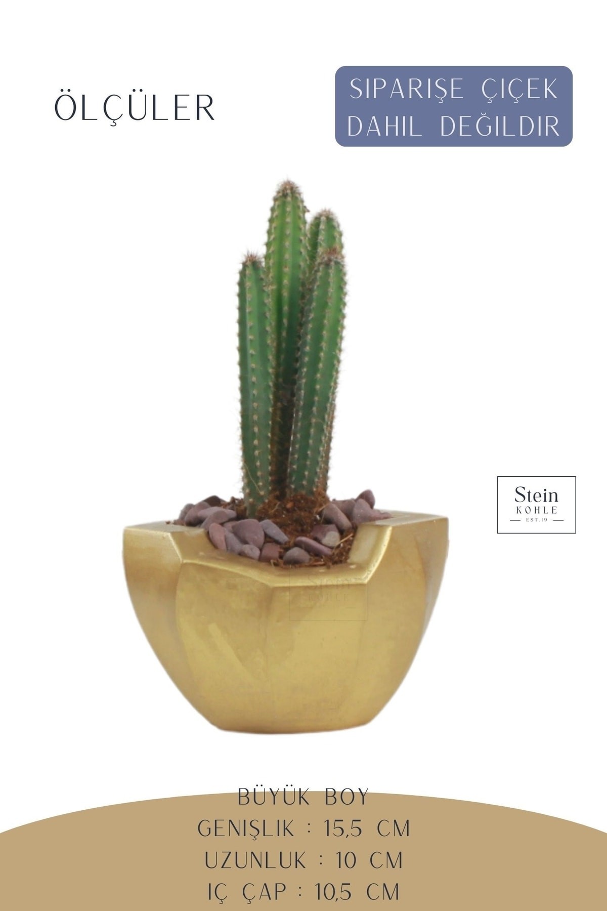 Altın thumbnail image