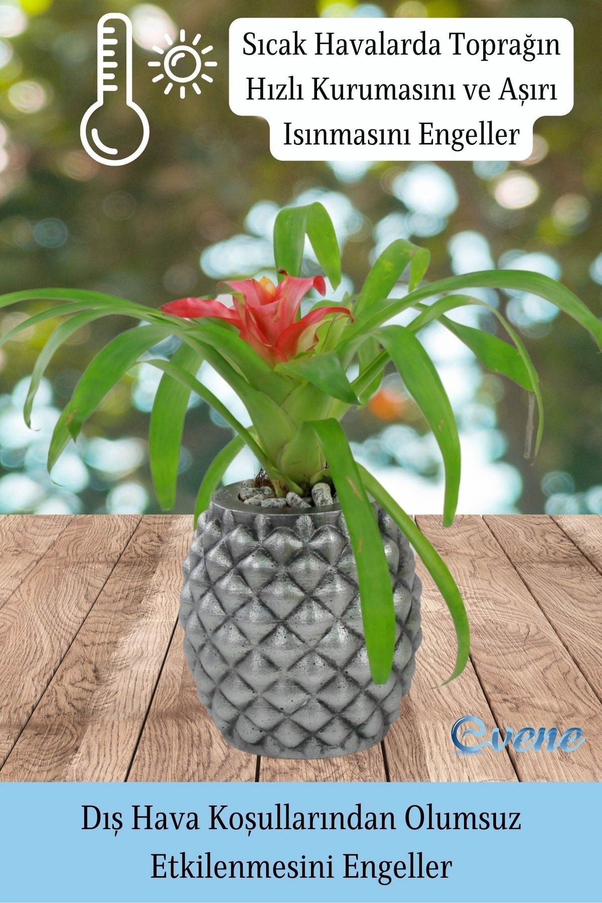 Ahşap Ayaklı Beton Saksı Büyük Boy 1 Adet Gümüş Varak Boyalı Eskitmeli Ananas Model