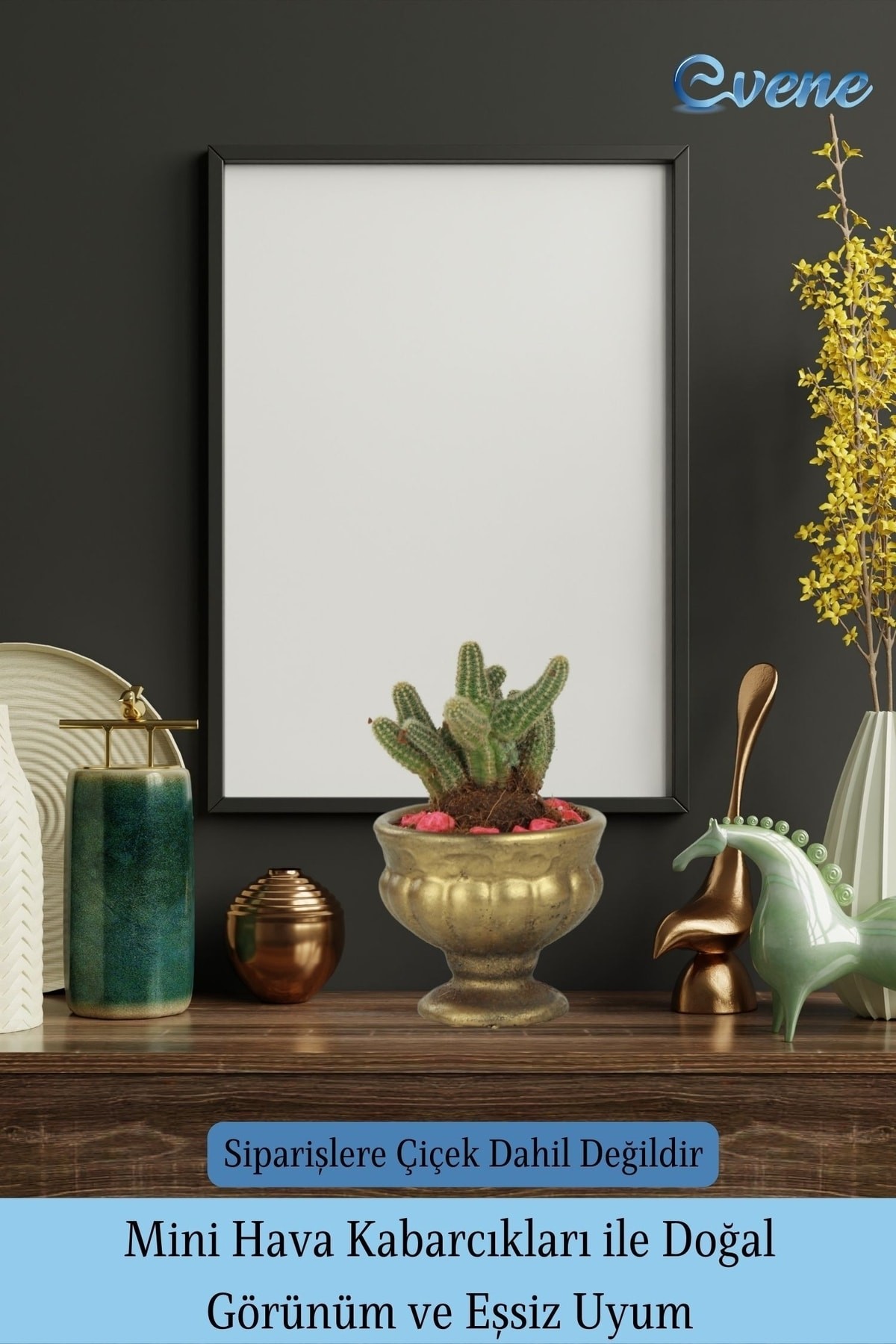 Kaktüs Saksısı Dekoratif Saksı Model 14