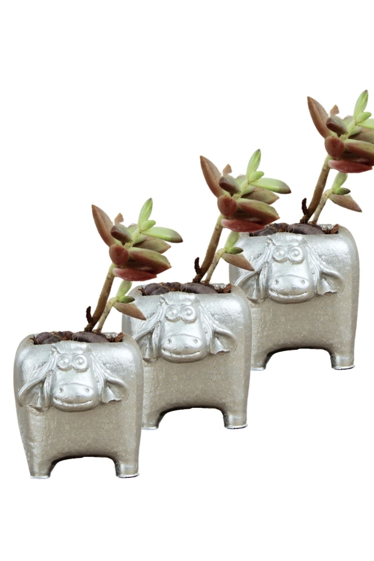 Mini Çiçek Saksı Küçük Sukulent Gümüş Kaktüs Saksısı 3'lü Set Mini İnek Model