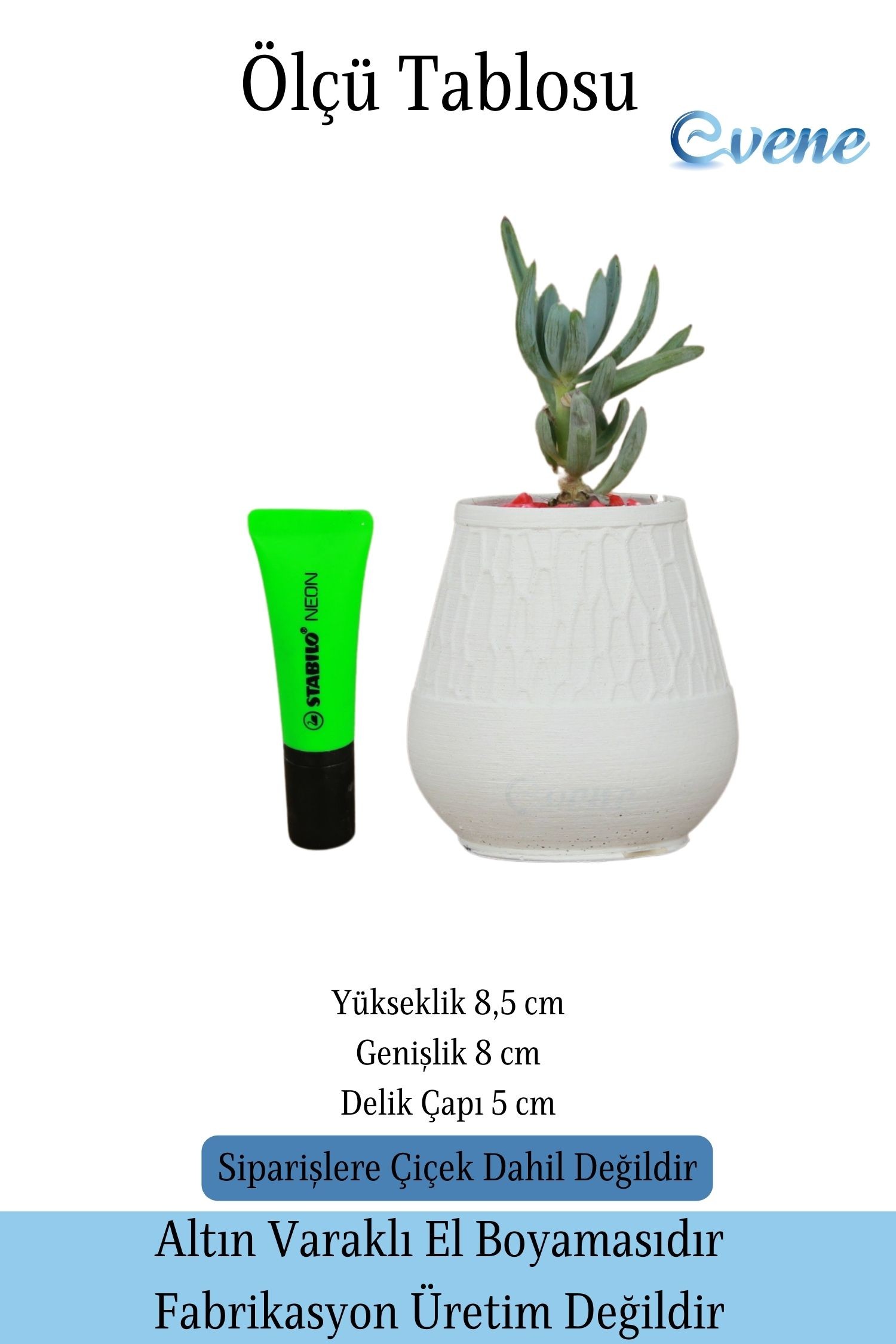Kaktüs Saksısı Dekoratif Saksı Model 17