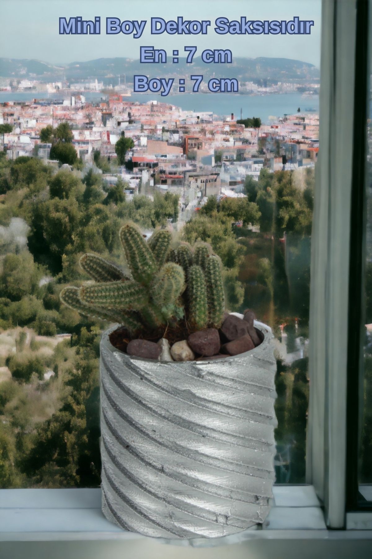 Gümüş thumbnail image